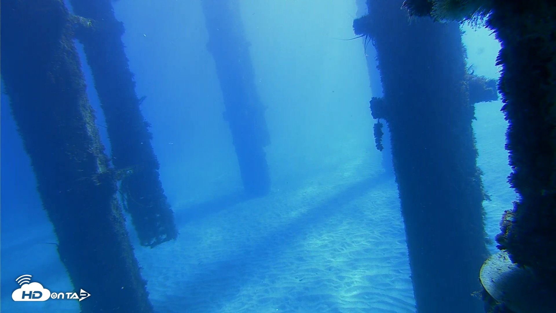 Snapshot of Scripps Pier Underwater Live Webcam taken Oct 19, 2026, 10:47am PDT