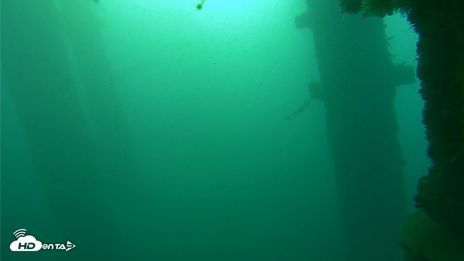 Snapshot of Scripps Pier Underwater Live Webcam taken Oct 20, 2026, 7:56am PDT