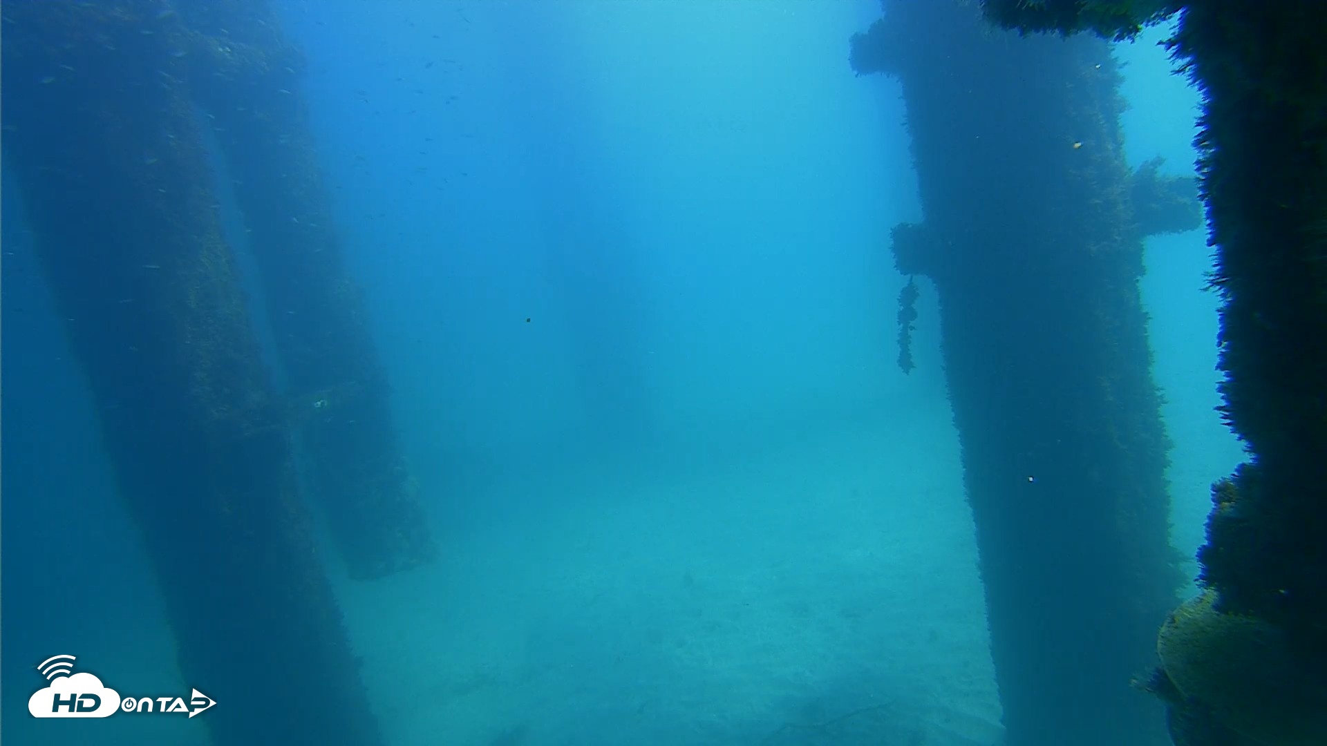 Snapshot of Scripps Pier Underwater Live Webcam taken Oct 5, 2026, 12:31pm PDT