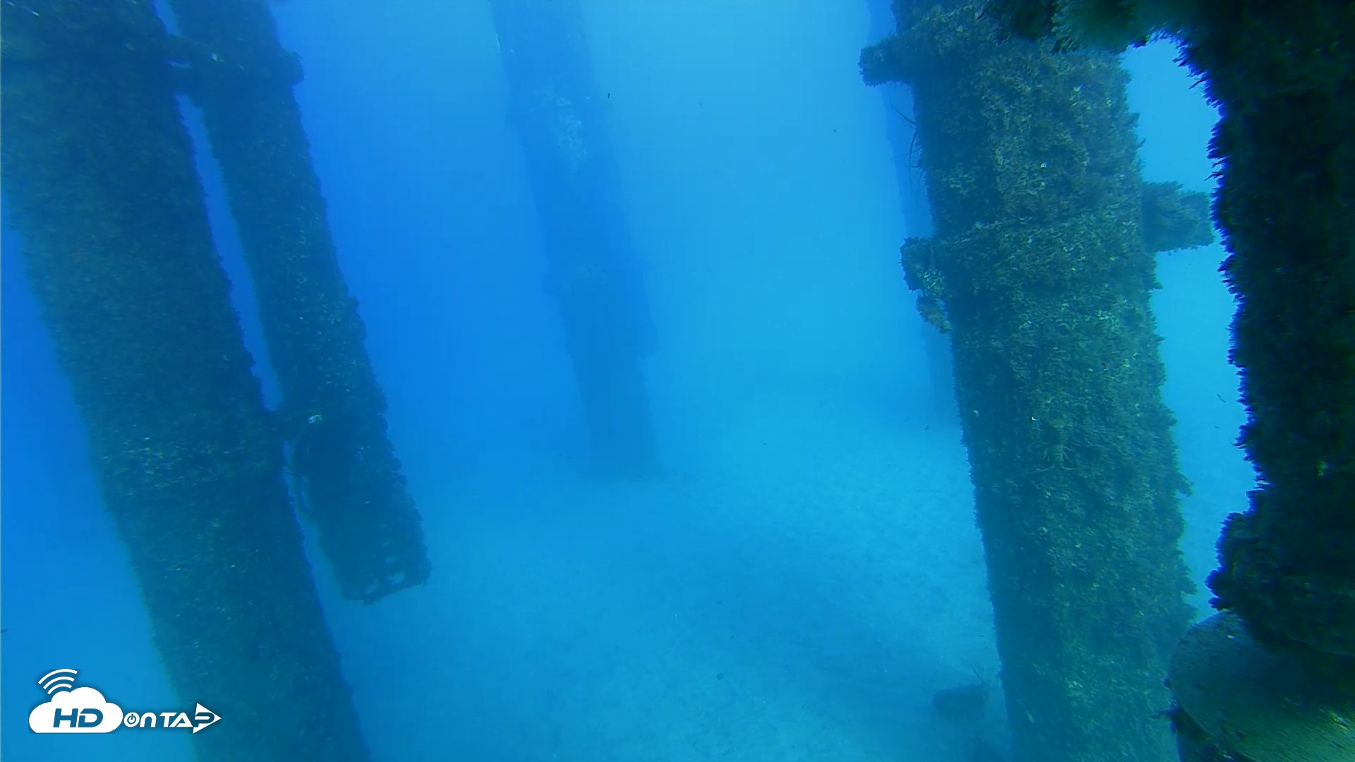 Snapshot of Scripps Pier Underwater Live Webcam taken Oct 19, 2026, 4:43pm PDT