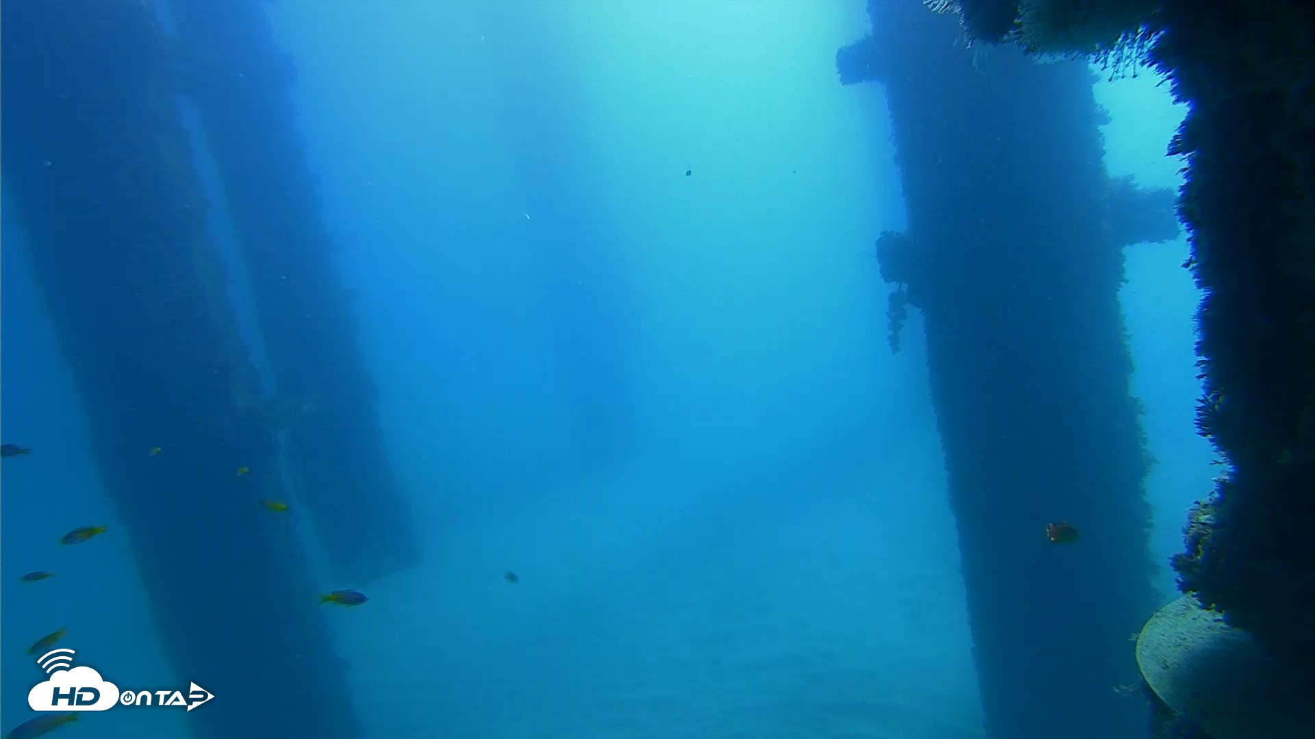 Snapshot of Scripps Pier Underwater Live Webcam taken Oct 21, 2026, 10:37am PDT