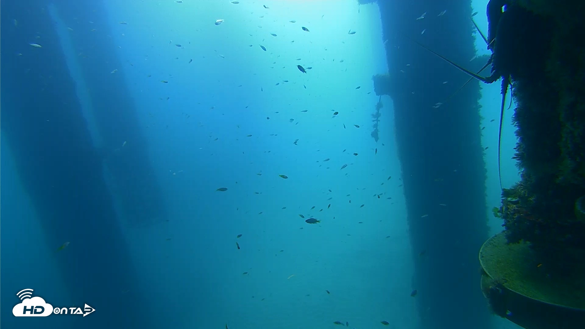 Snapshot of Scripps Pier Underwater Live Webcam taken Aug 27, 2026, 9:17am PDT