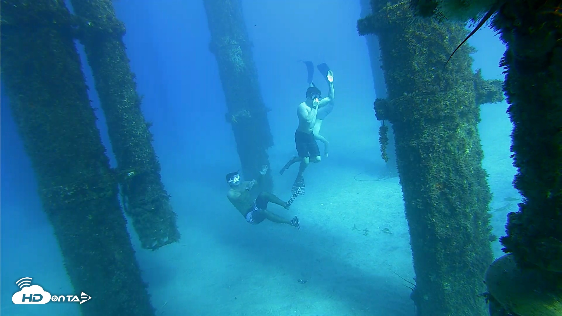 Snapshot of Scripps Pier Underwater Live Webcam taken Oct 18, 2026, 4:03pm PDT
