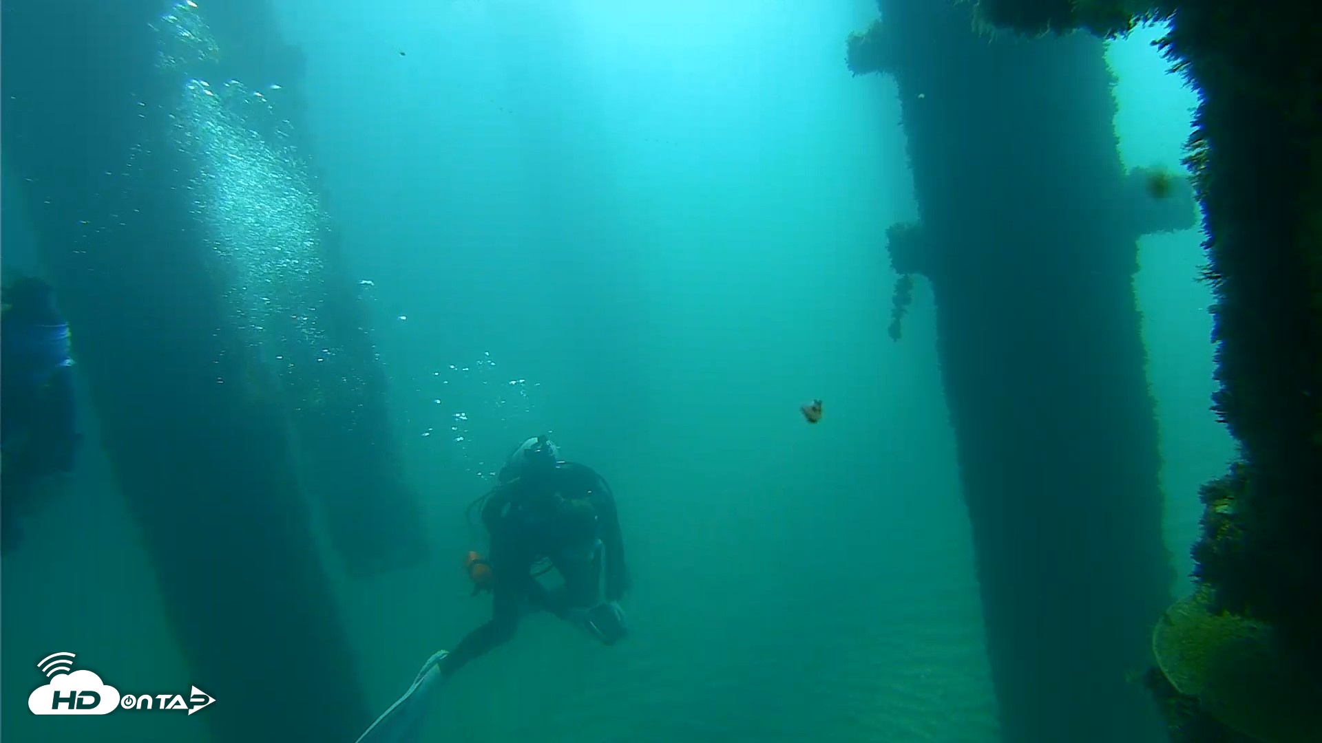 Snapshot of Scripps Pier Underwater Live Webcam taken Oct 6, 2026, 9:43am PDT