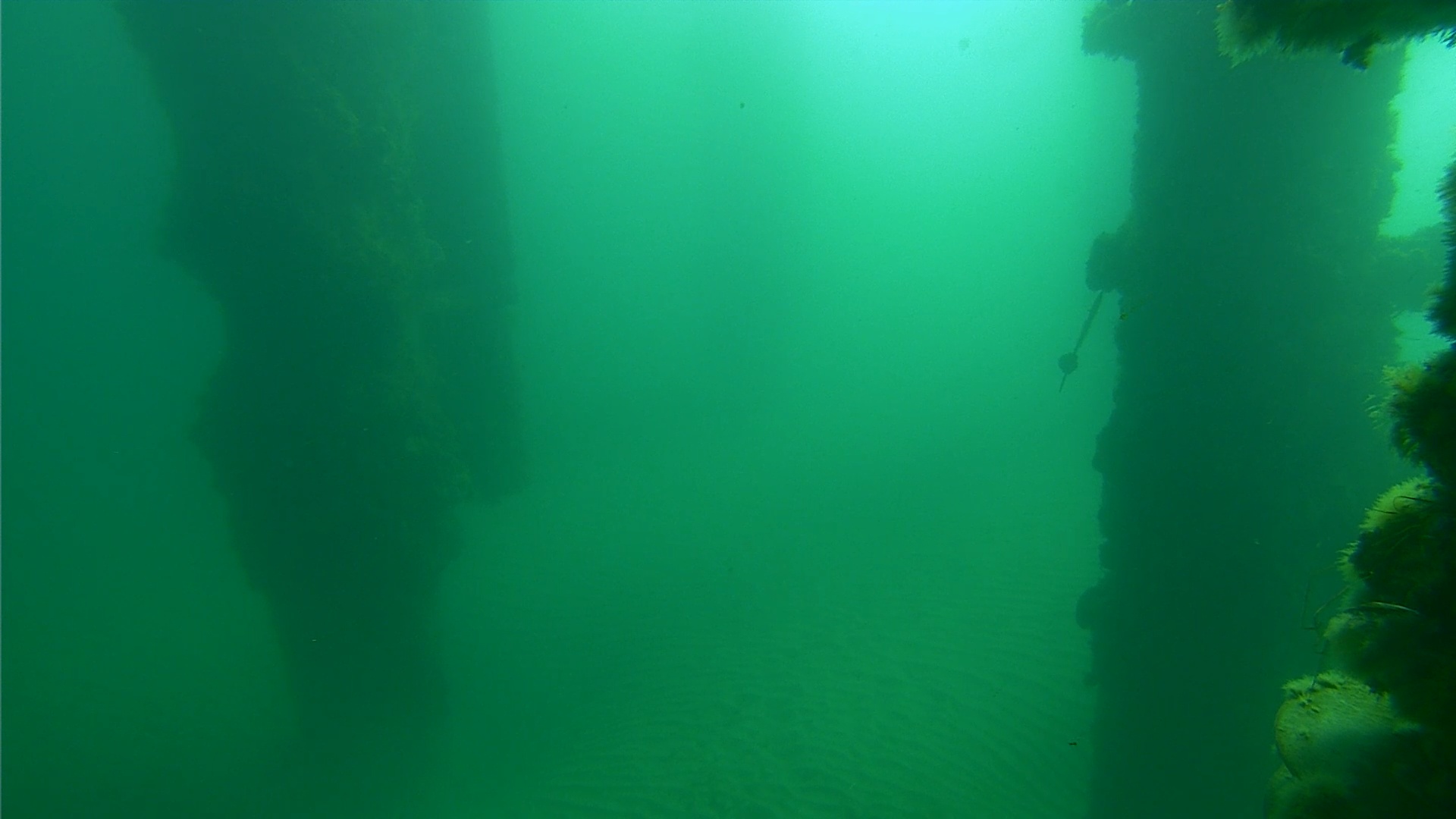 Snapshot of Scripps Pier Underwater Live Webcam taken Jan 14, 2025, 9:22am PST