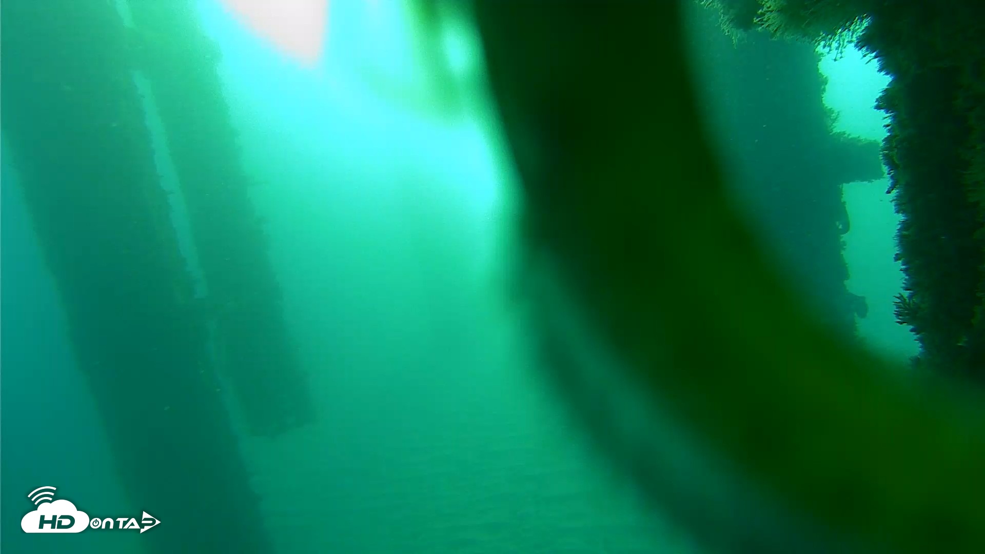 Snapshot of Scripps Pier Underwater Live Webcam taken Oct 21, 2026, 7:49am PDT
