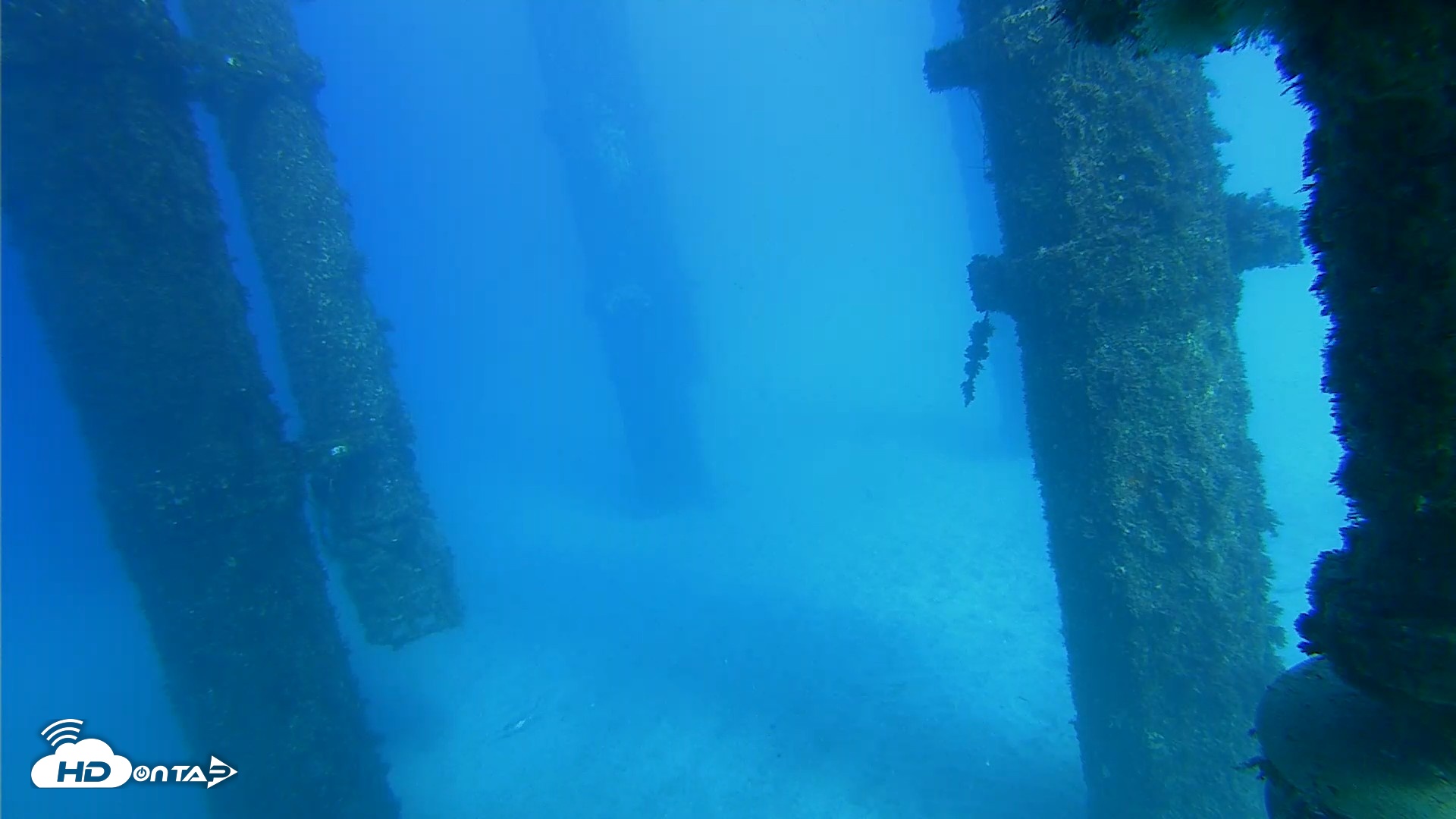 Snapshot of Scripps Pier Underwater Live Webcam taken Oct 19, 2026, 3:46pm PDT