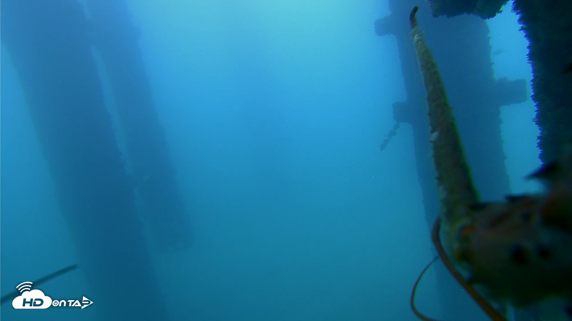 Snapshot of Scripps Pier Underwater Live Webcam taken Sep 16, 2026, 7:32am PDT
