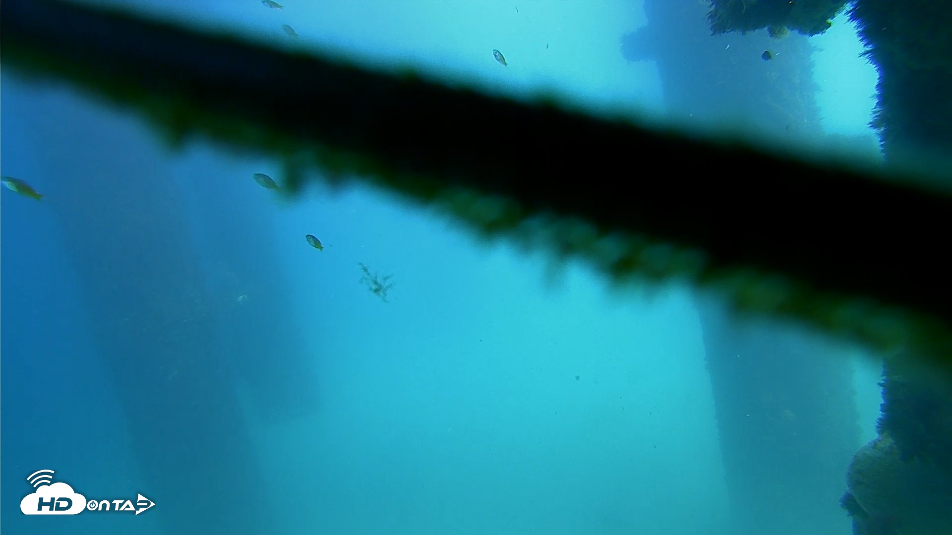 Snapshot of Scripps Pier Underwater Live Webcam taken Sep 18, 2026, 2:06pm PDT