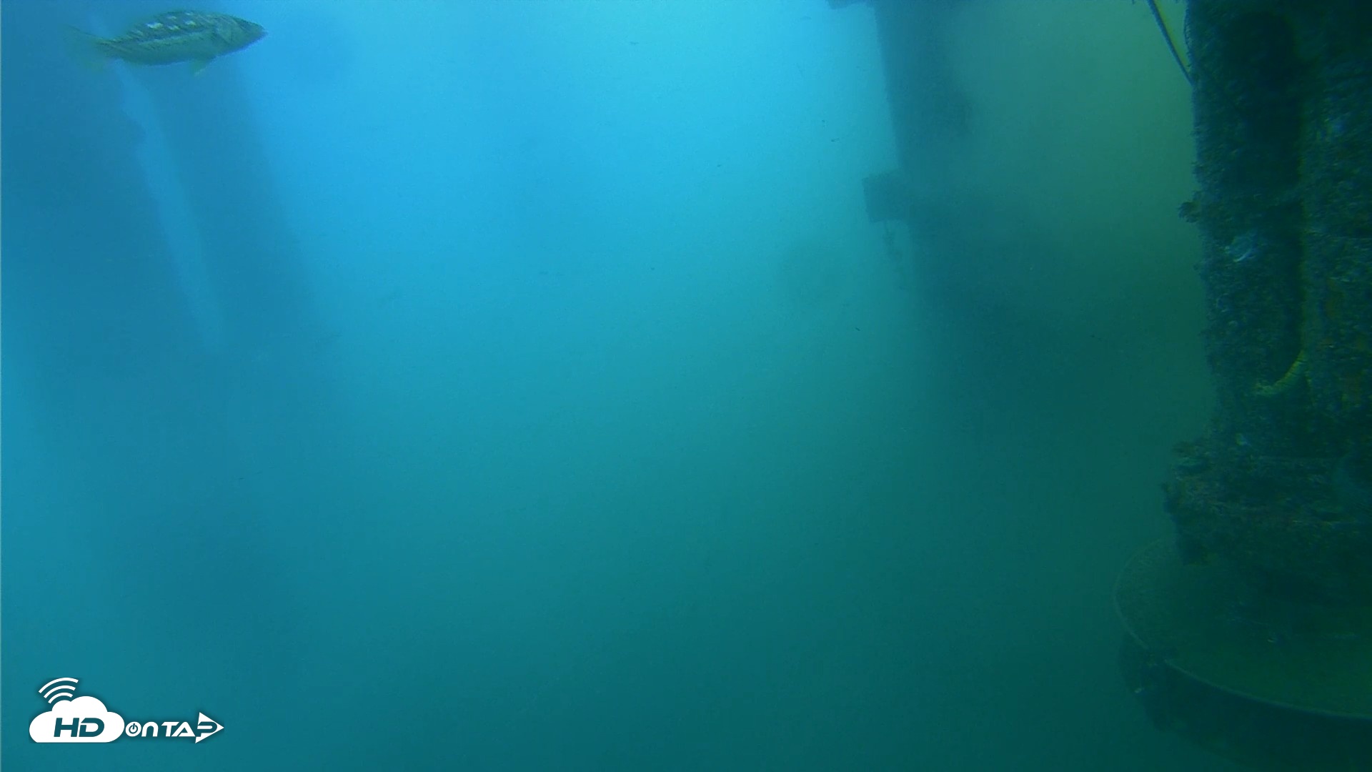Snapshot of Scripps Pier Underwater Live Webcam taken Jul 27, 2026, 8:17am PDT
