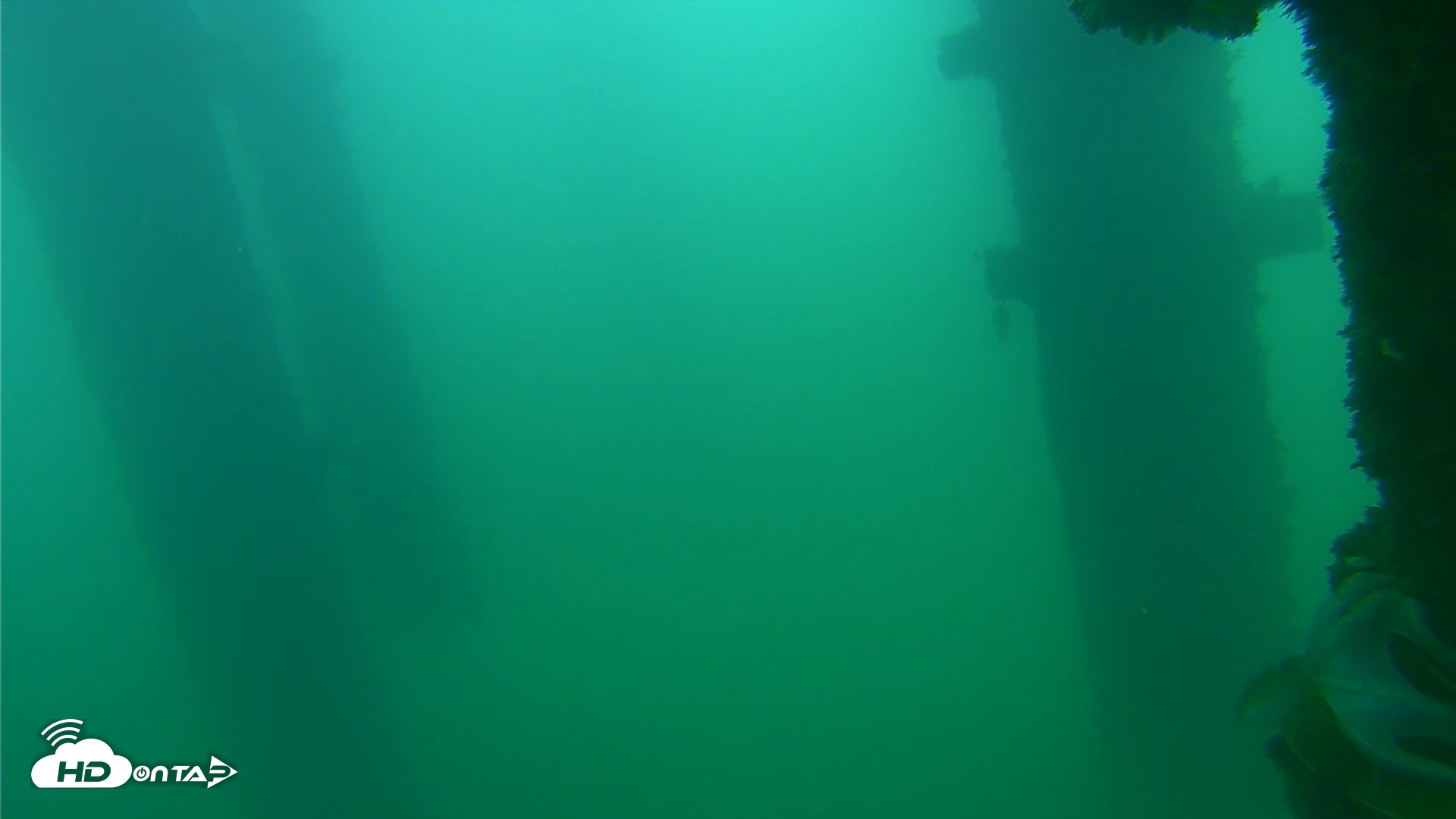 Snapshot of Scripps Pier Underwater Live Webcam taken Sep 24, 2026, 8:16am PDT