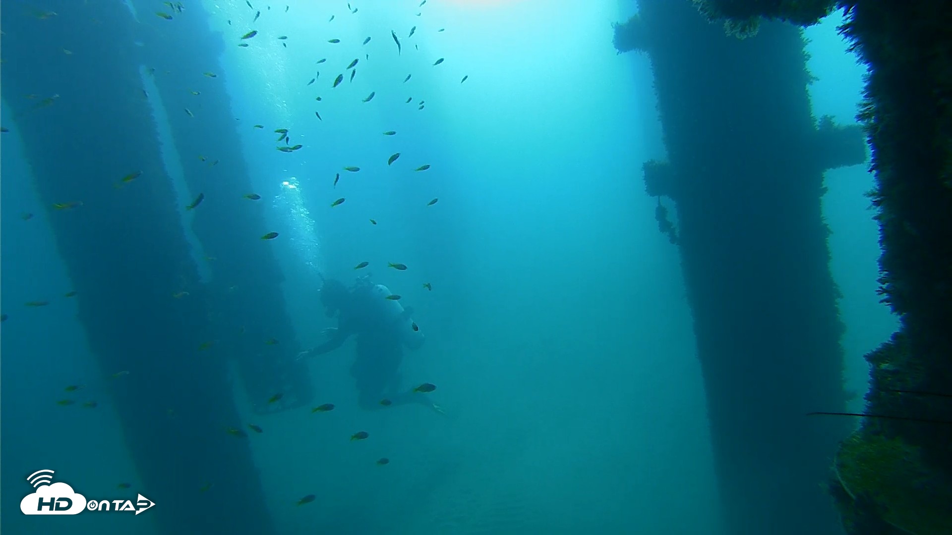 Snapshot of Scripps Pier Underwater Live Webcam taken Sep 28, 2026, 9:12am PDT