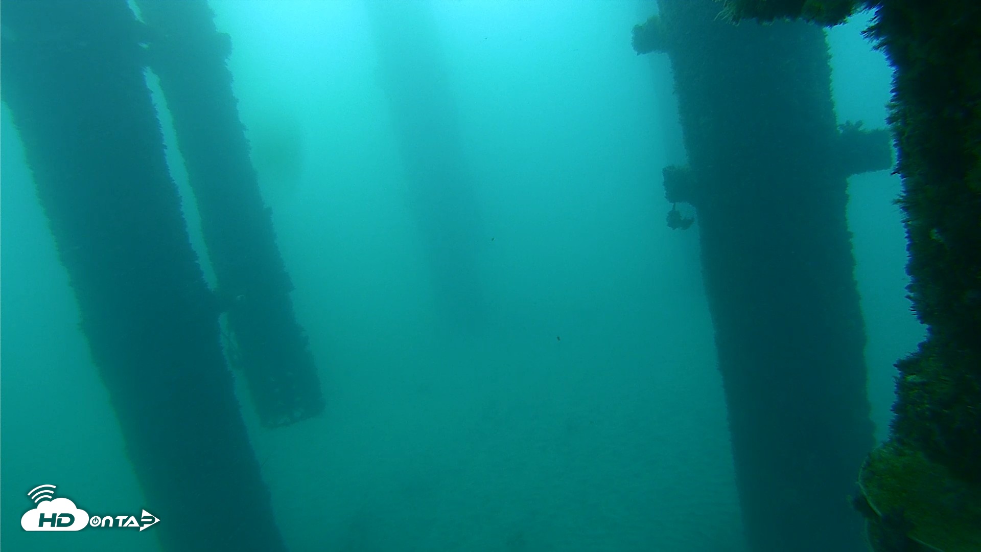 Snapshot of Scripps Pier Underwater Live Webcam taken Sep 26, 2026, 7:24am PDT