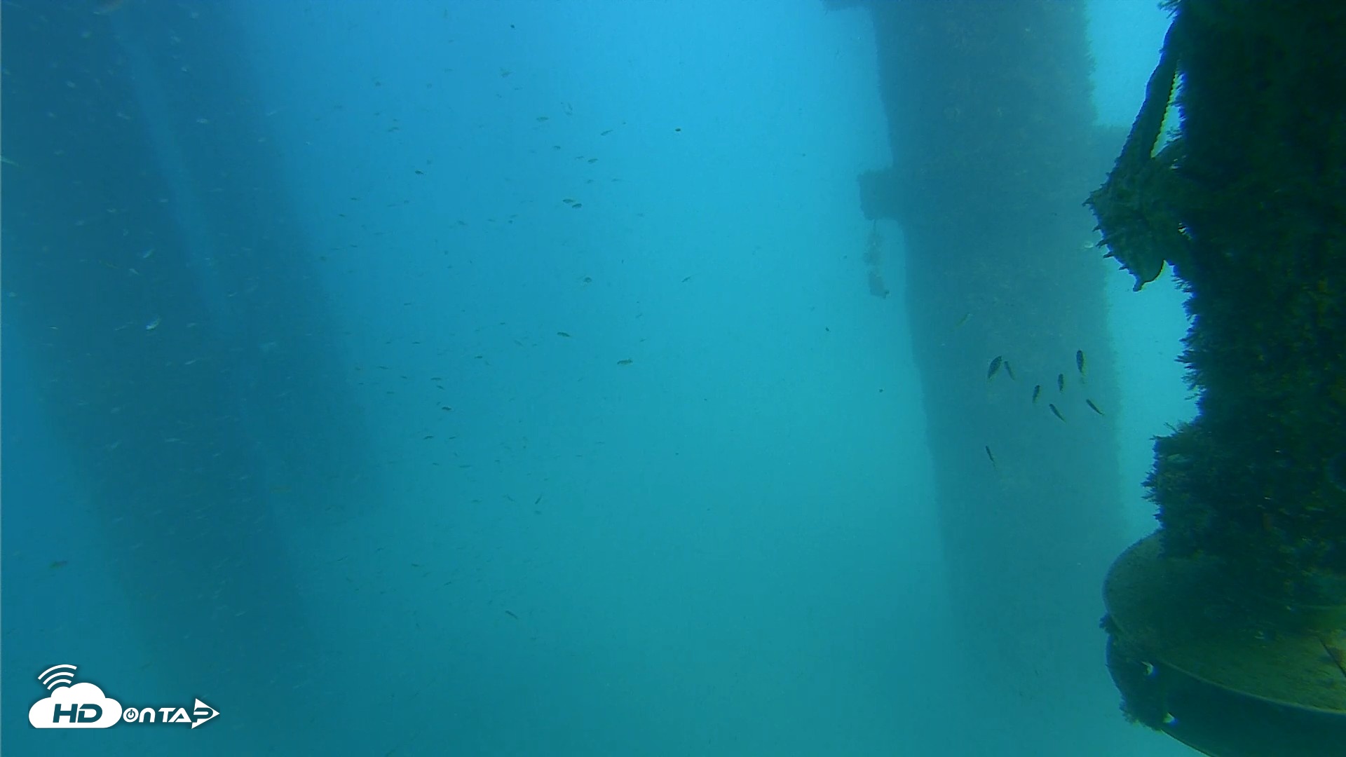 Snapshot of Scripps Pier Underwater Live Webcam taken Aug 27, 2026, 3:21pm PDT