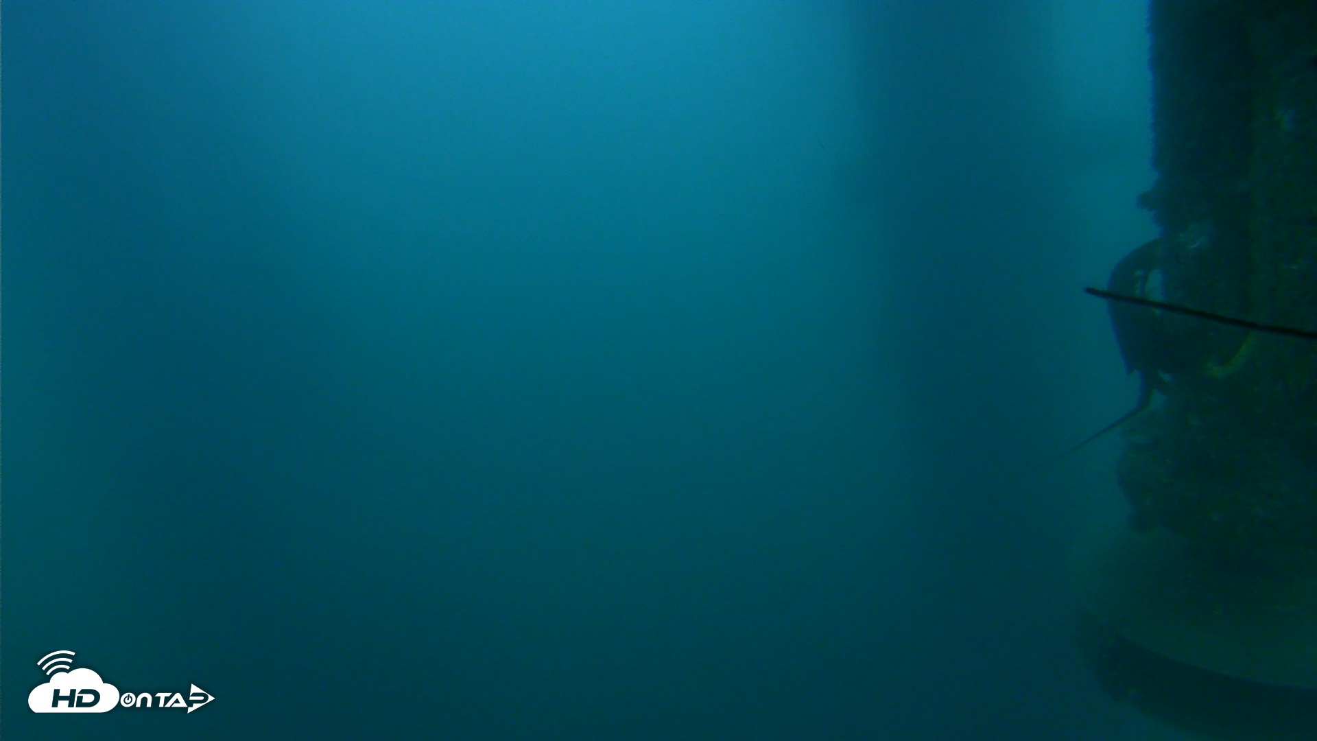 Snapshot of Scripps Pier Underwater Live Webcam taken Jul 19, 2026, 7:58pm PDT