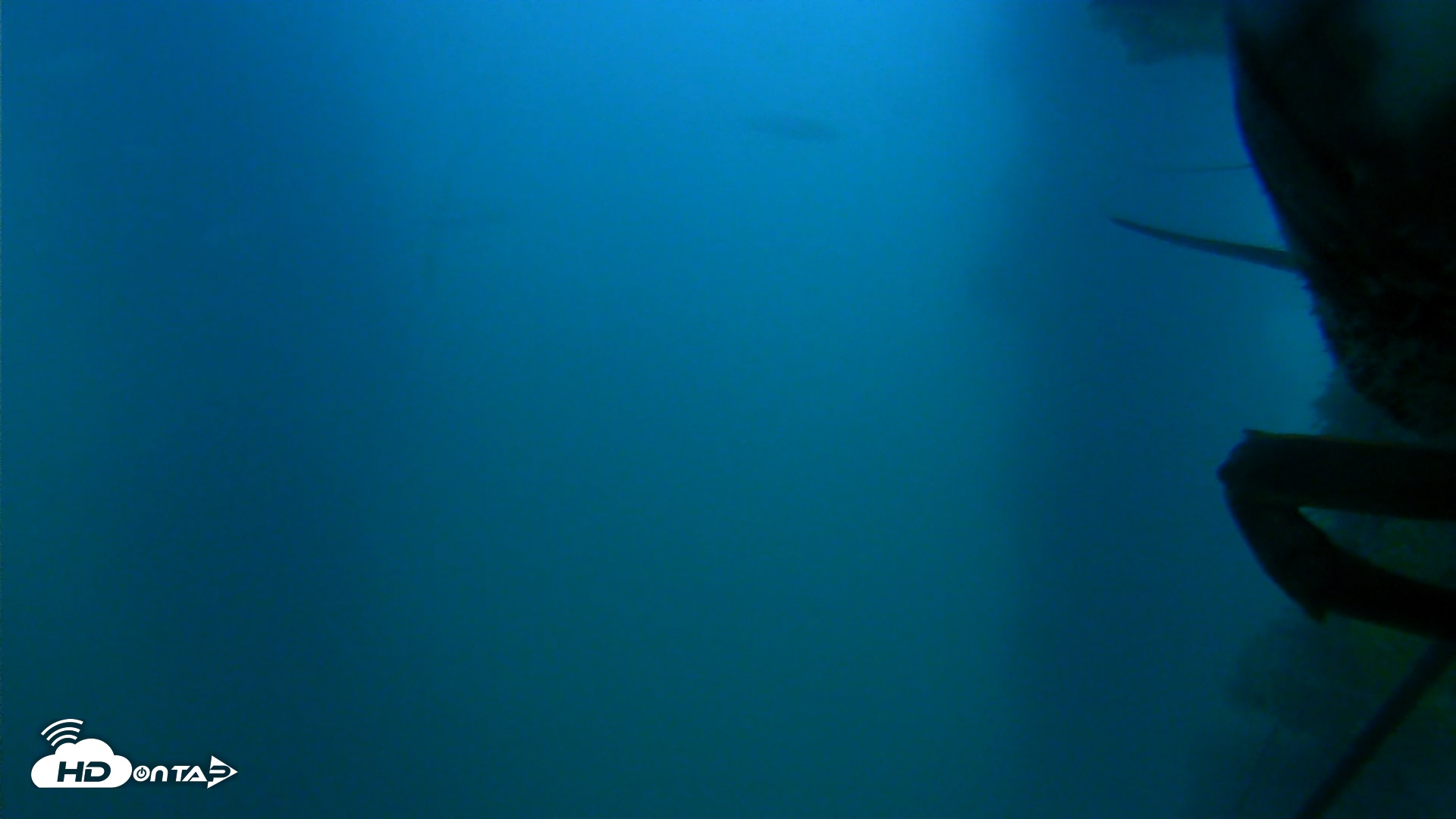 Snapshot of Scripps Pier Underwater Live Webcam taken Jul 12, 2025, 7:58pm PDT