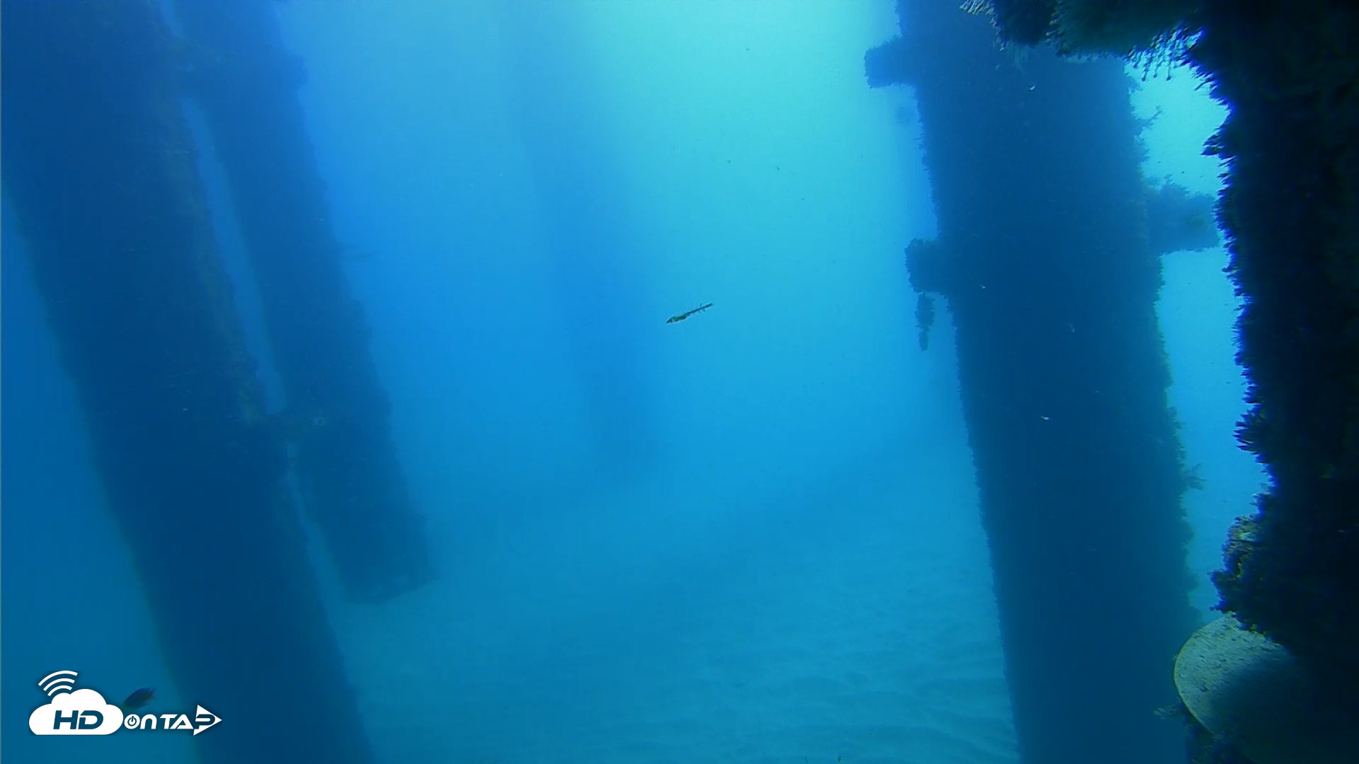Snapshot of Scripps Pier Underwater Live Webcam taken Oct 21, 2026, 10:39am PDT
