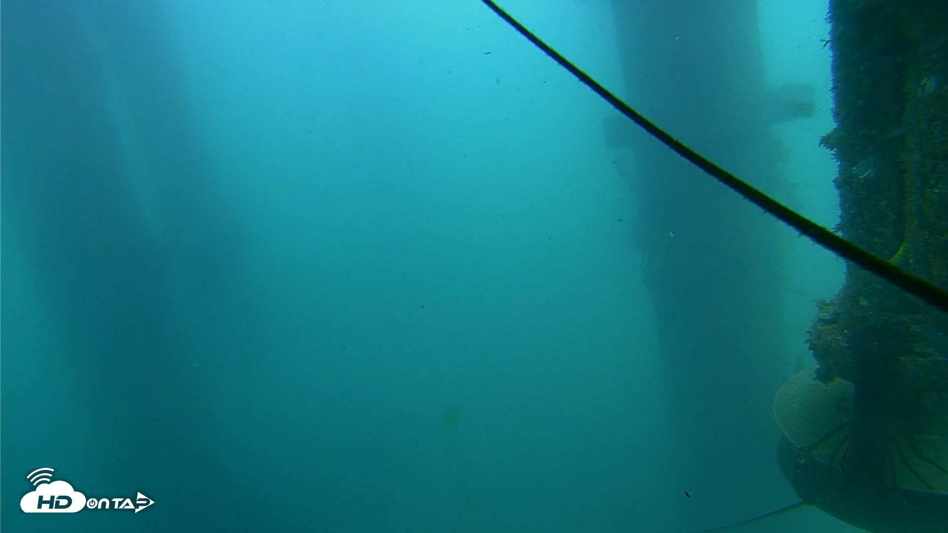 Snapshot of Scripps Pier Underwater Live Webcam taken Jul 22, 2026, 11:36am PDT