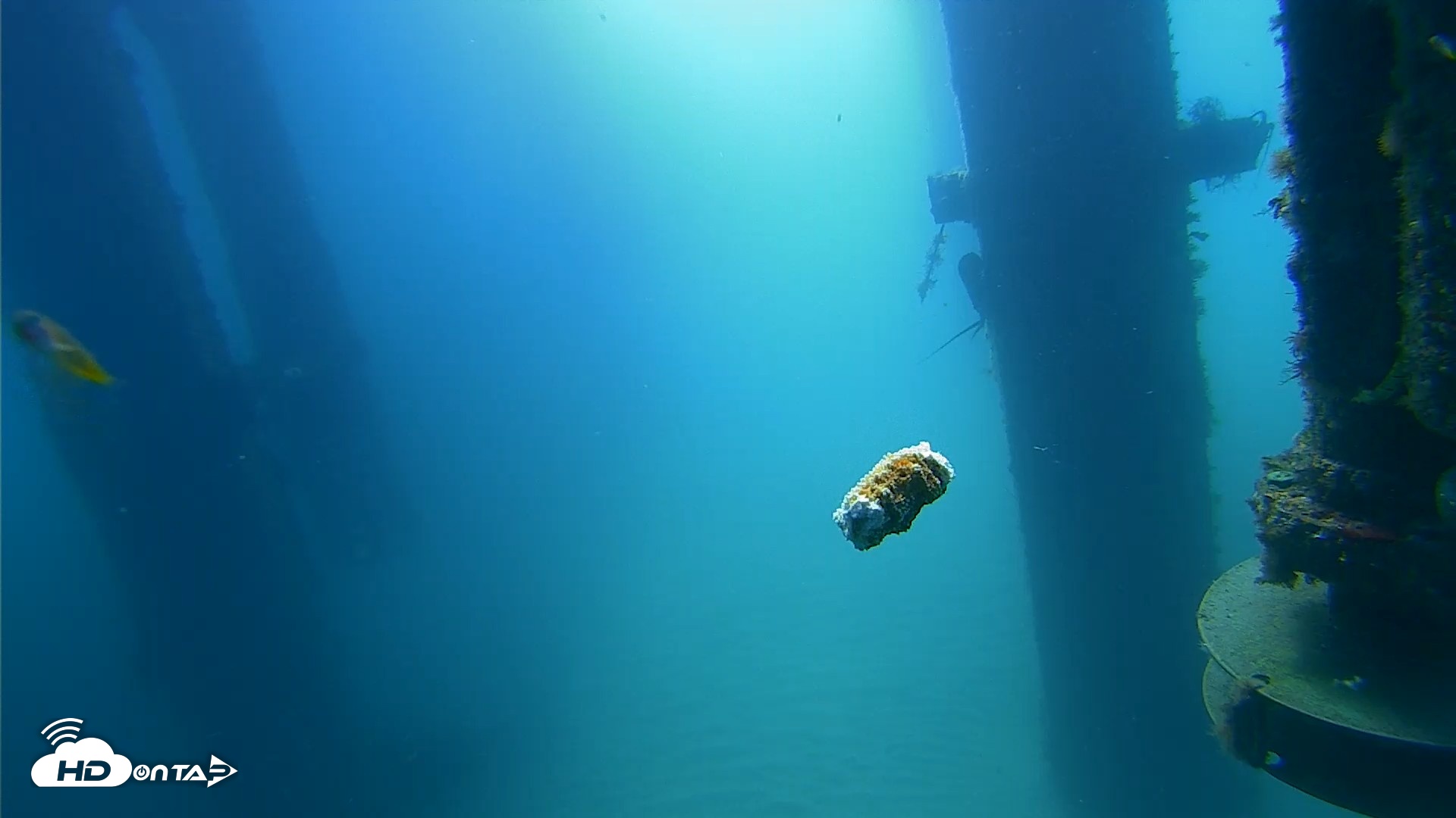 Snapshot of Scripps Pier Underwater Live Webcam taken Aug 6, 2026, 10:01am PDT