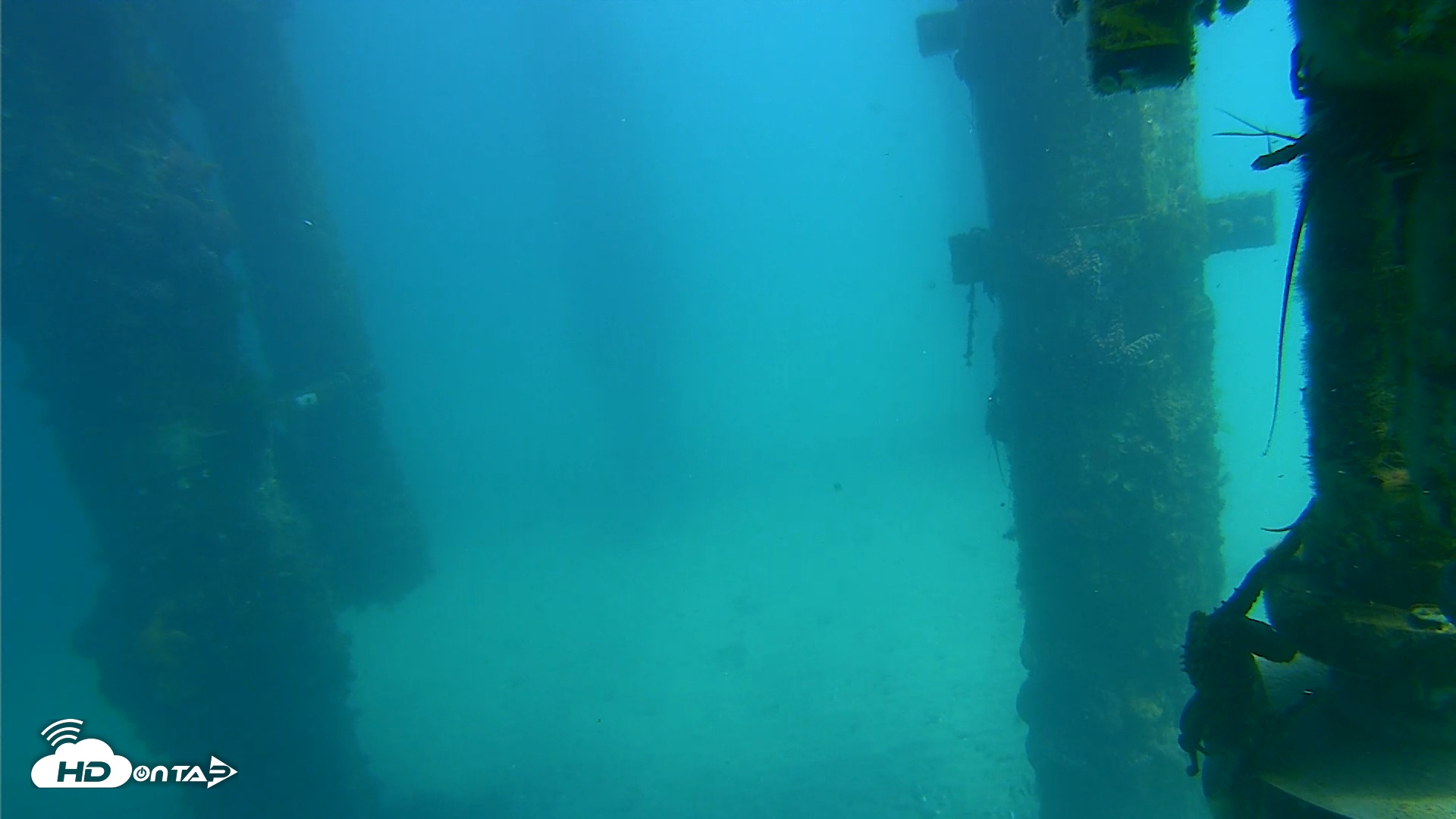 Snapshot of Scripps Pier Underwater Live Webcam taken Mar 13, 2026, 1:28pm PDT