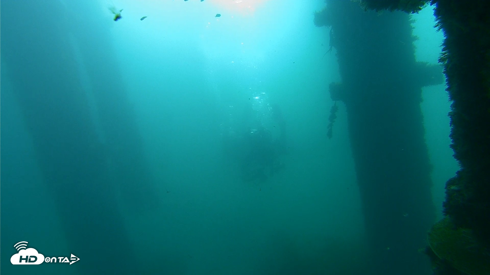 Snapshot of Scripps Pier Underwater Live Webcam taken Oct 2, 2026, 9:05am PDT