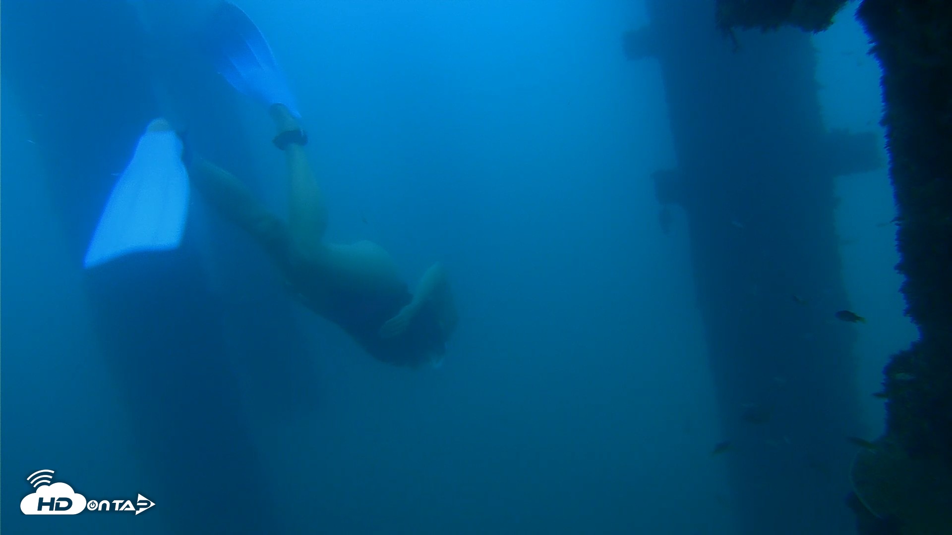 Snapshot of Scripps Pier Underwater Live Webcam taken Sep 15, 2026, 6:43pm PDT