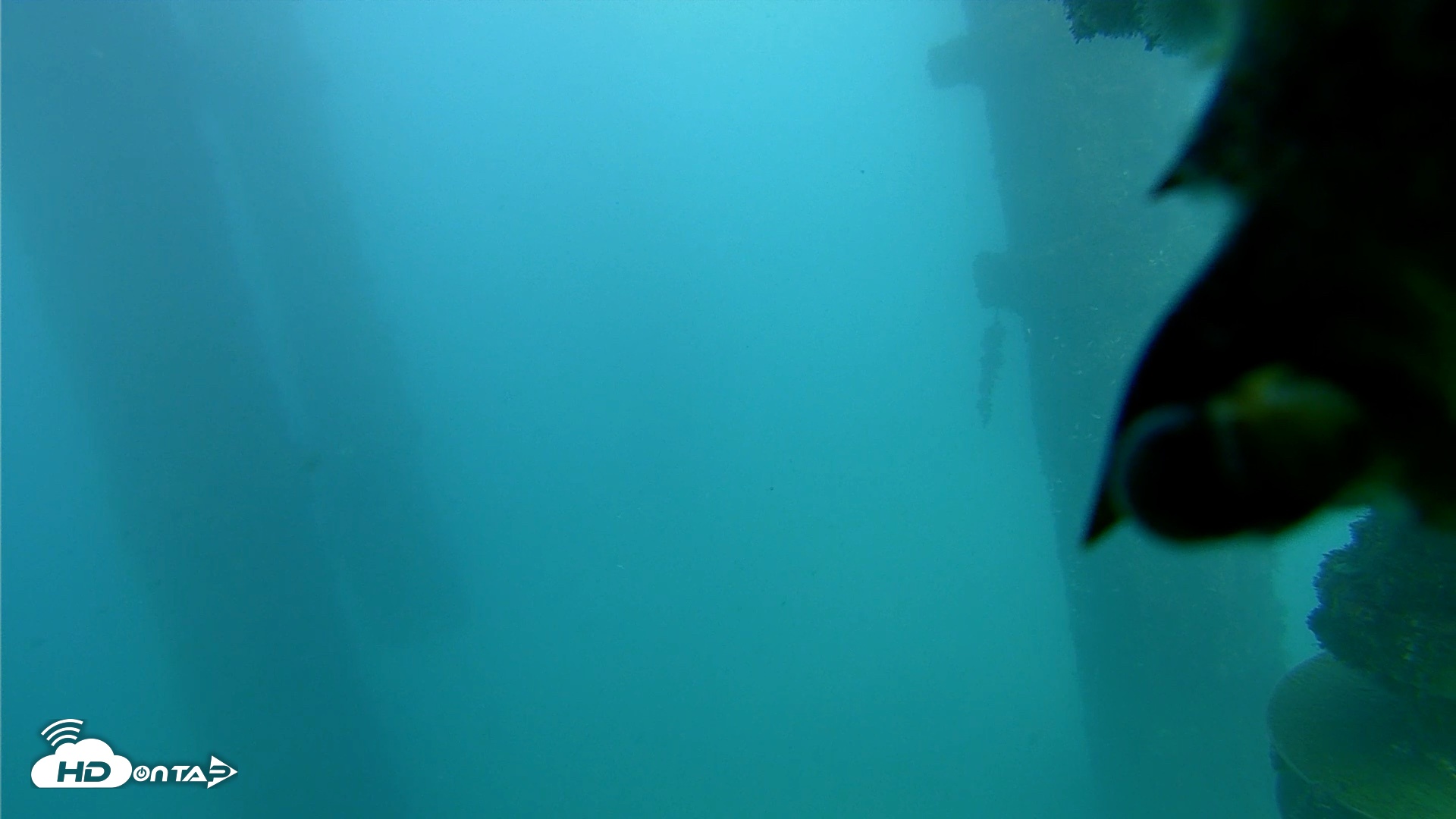 Snapshot of Scripps Pier Underwater Live Webcam taken Oct 23, 2026, 4:24pm PDT