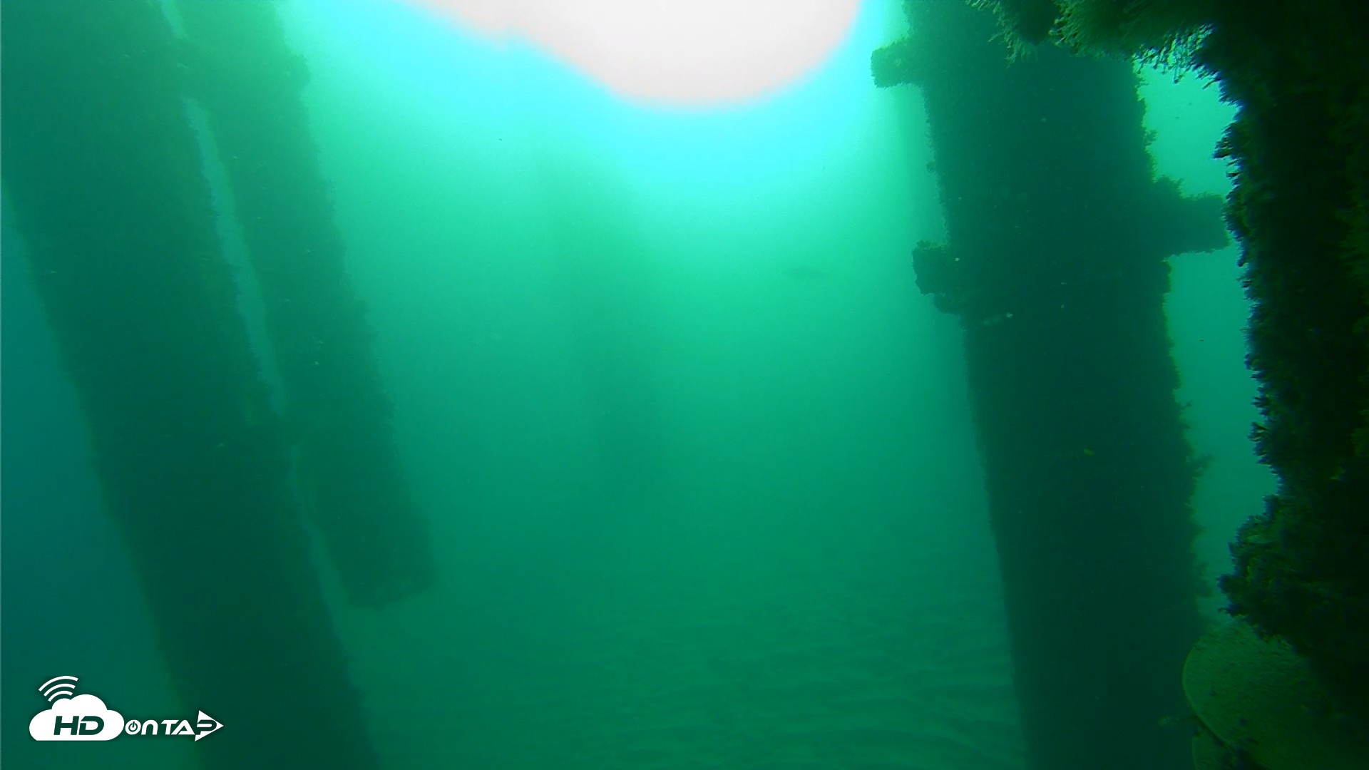 Snapshot of Scripps Pier Underwater Live Webcam taken Oct 21, 2026, 7:58am PDT