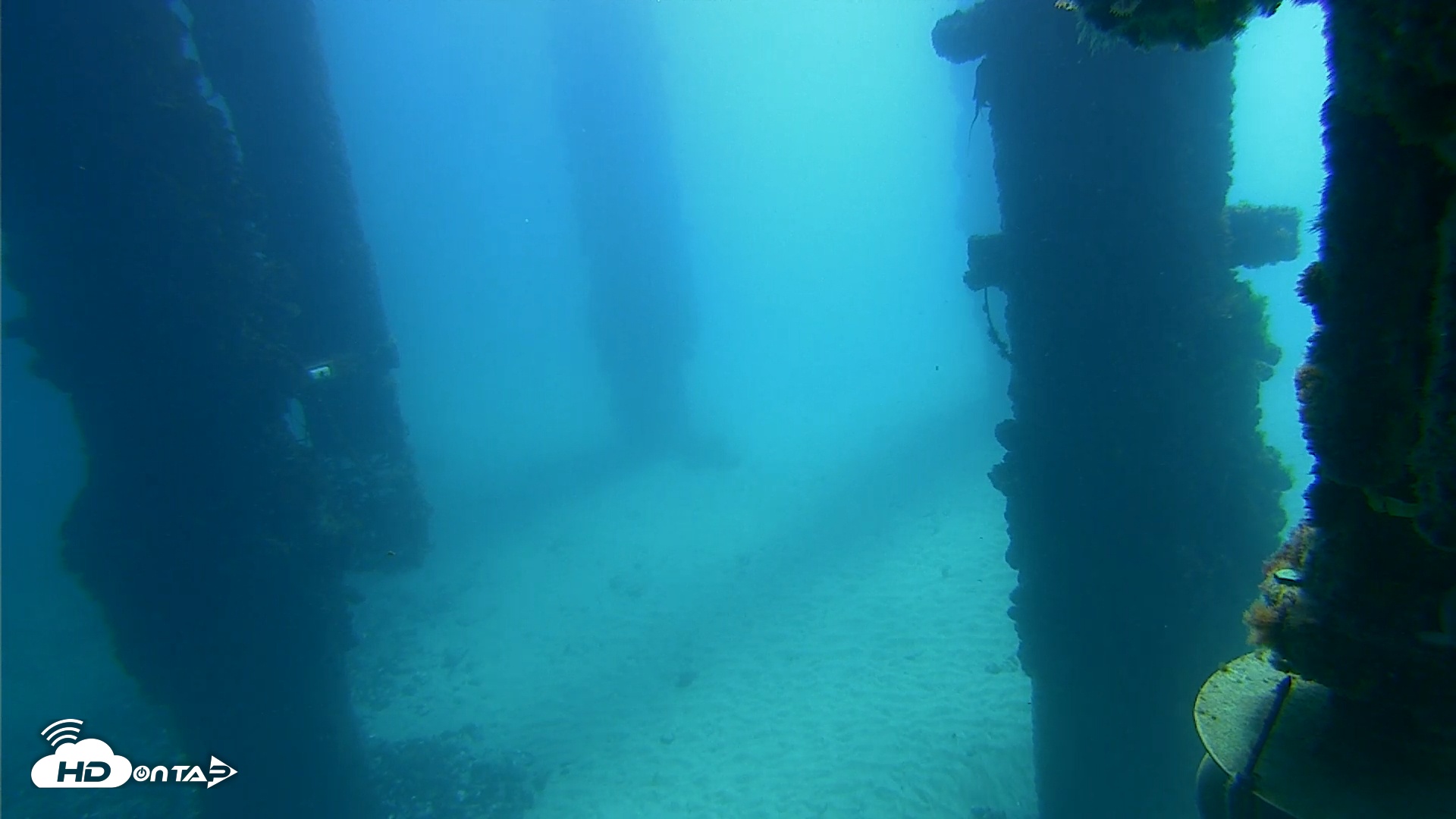 Snapshot of Scripps Pier Underwater Live Webcam taken Sep 15, 2025, 11:06am PDT