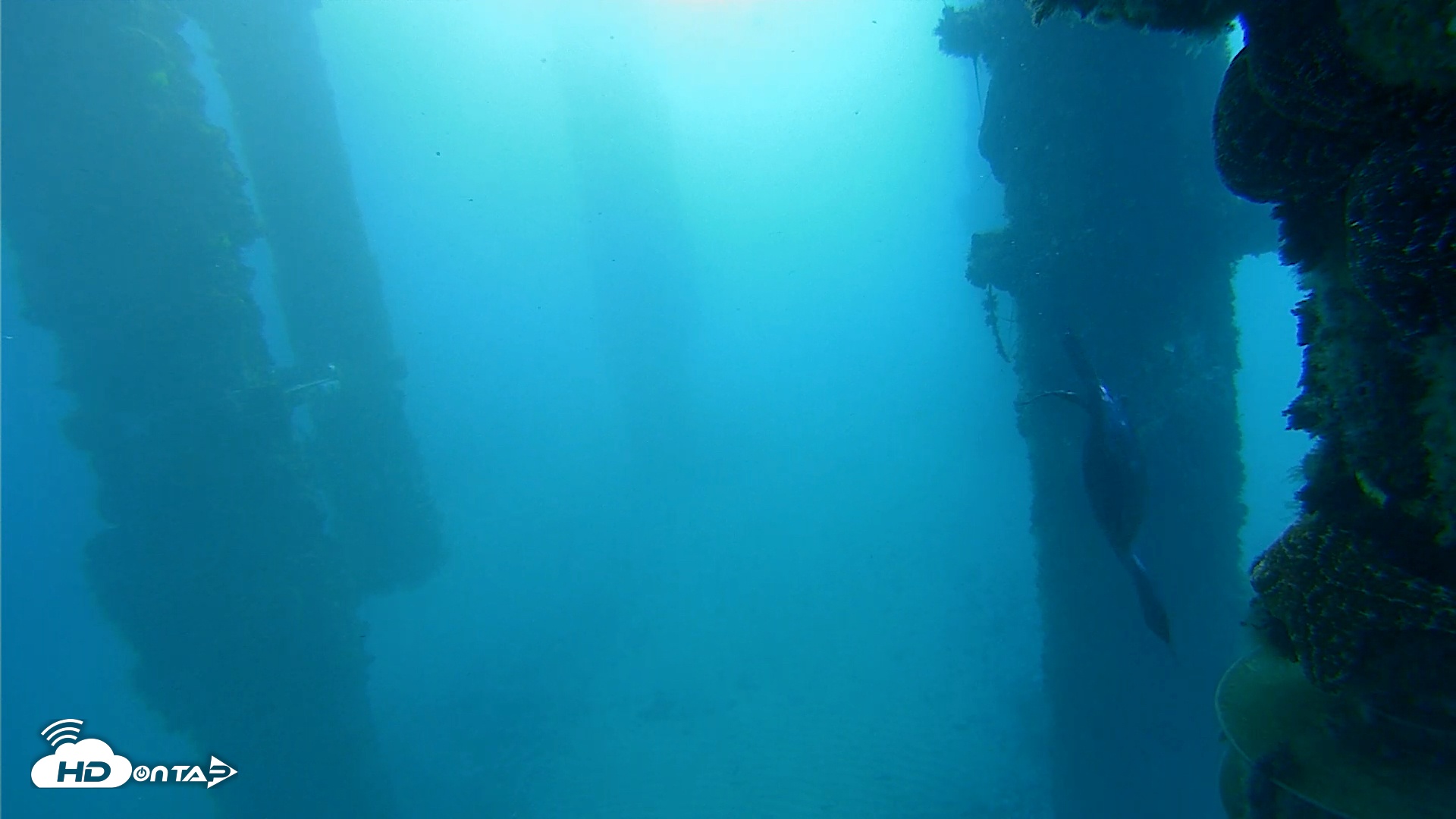 Snapshot of Scripps Pier Underwater Live Webcam taken Feb 9, 2026, 7:26am PST