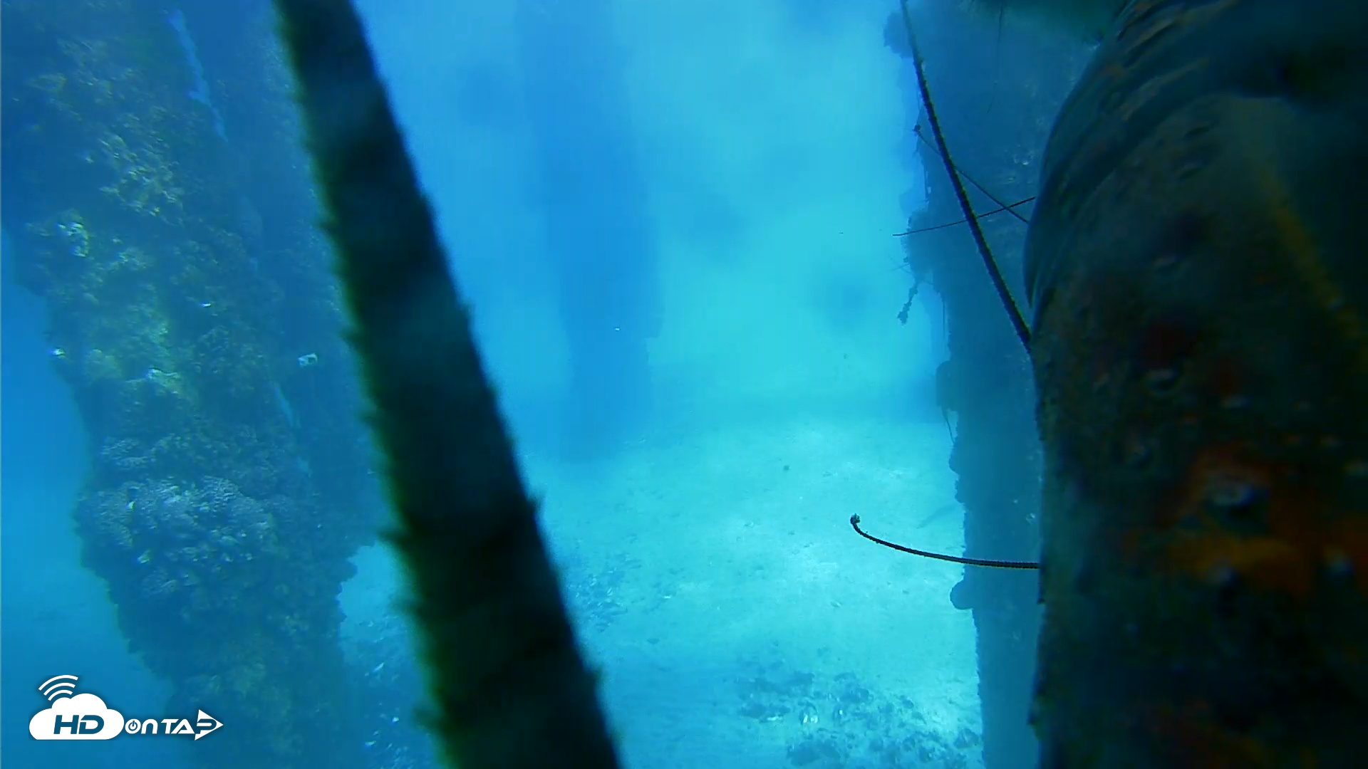 Snapshot of Scripps Pier Underwater Live Webcam taken Dec 7, 2025, 1:06pm PST