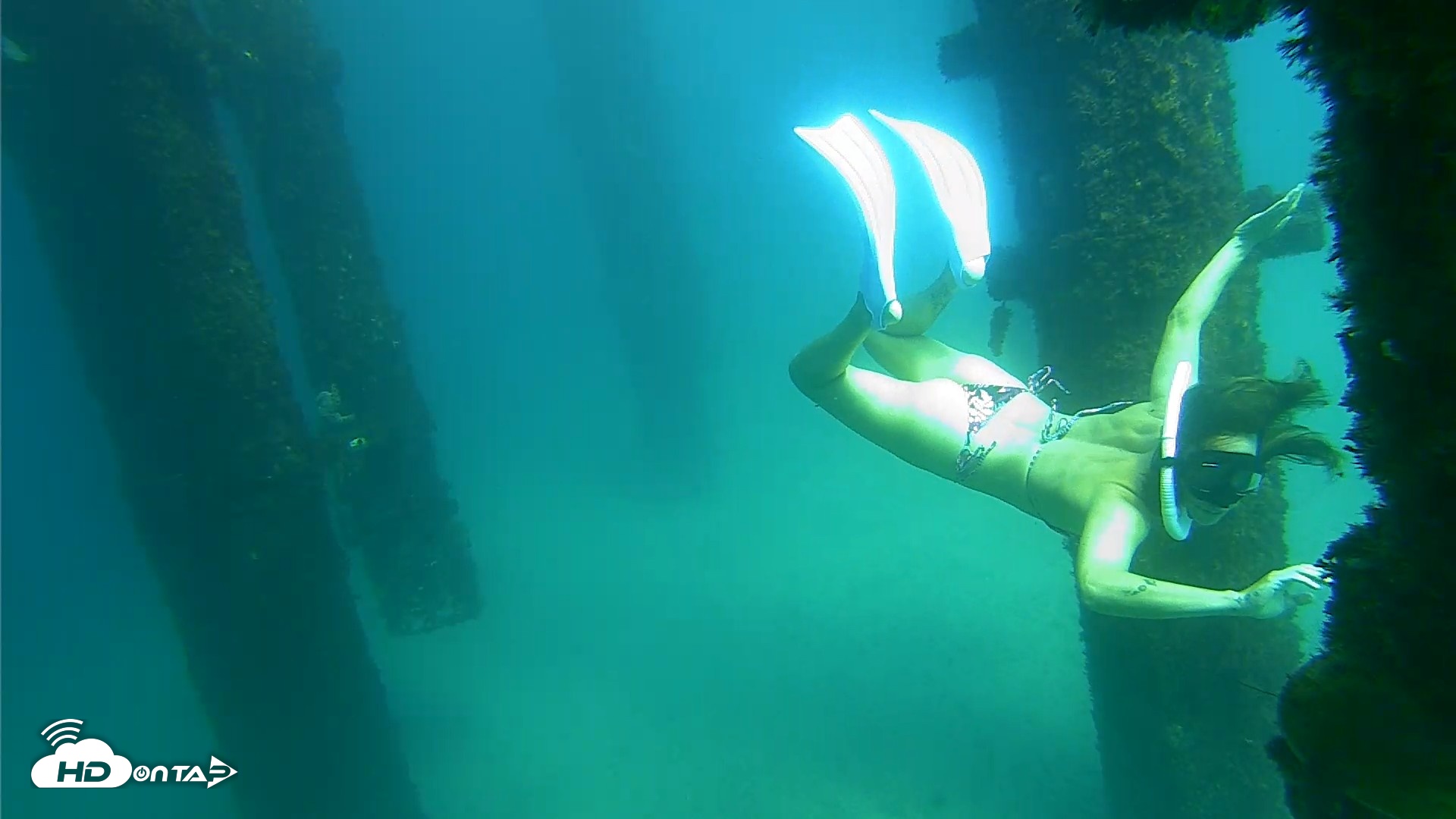 Snapshot of Scripps Pier Underwater Live Webcam taken Sep 24, 2026, 2:56pm PDT