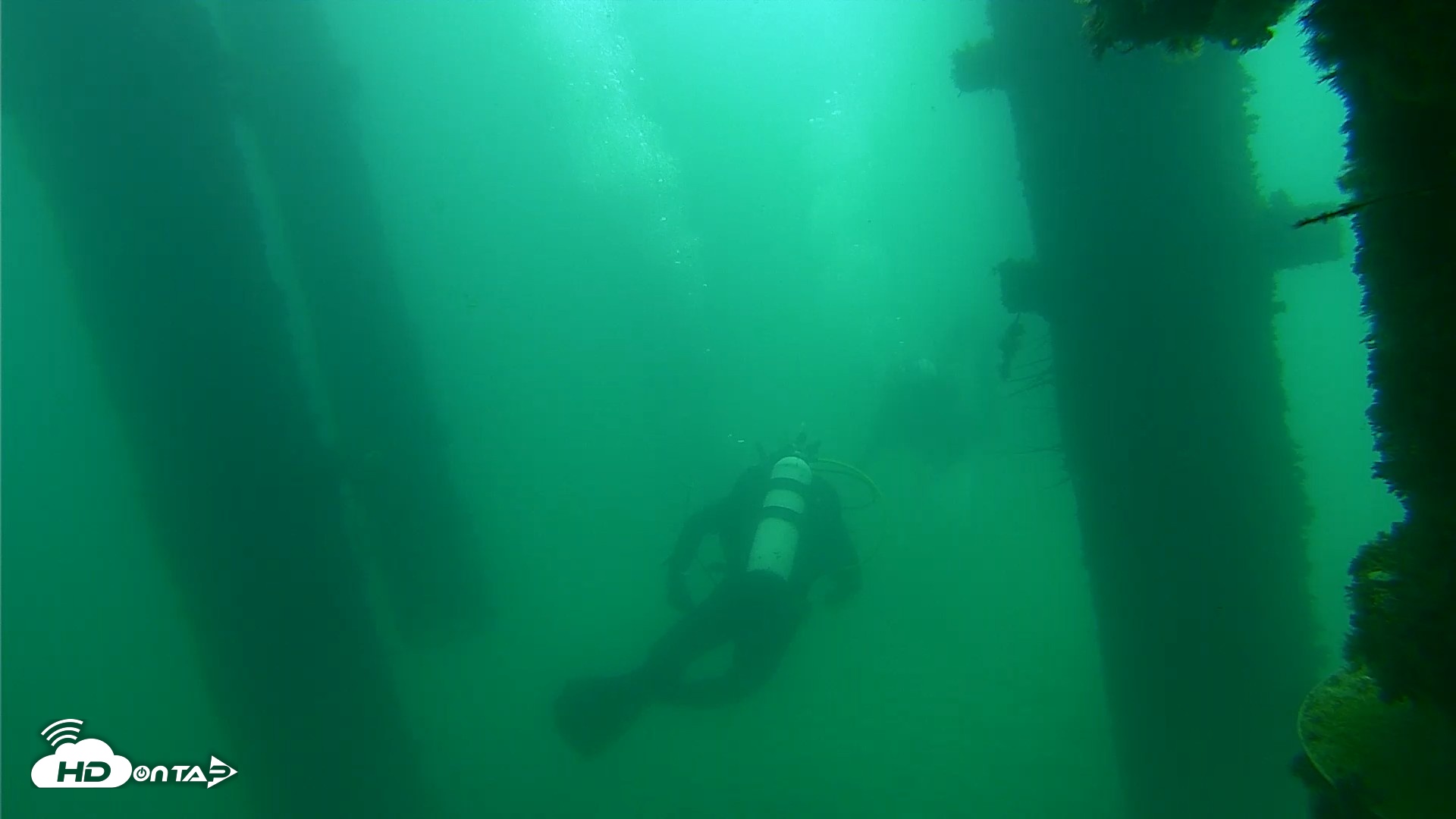 Snapshot of Scripps Pier Underwater Live Webcam taken Sep 17, 2026, 10:51am PDT