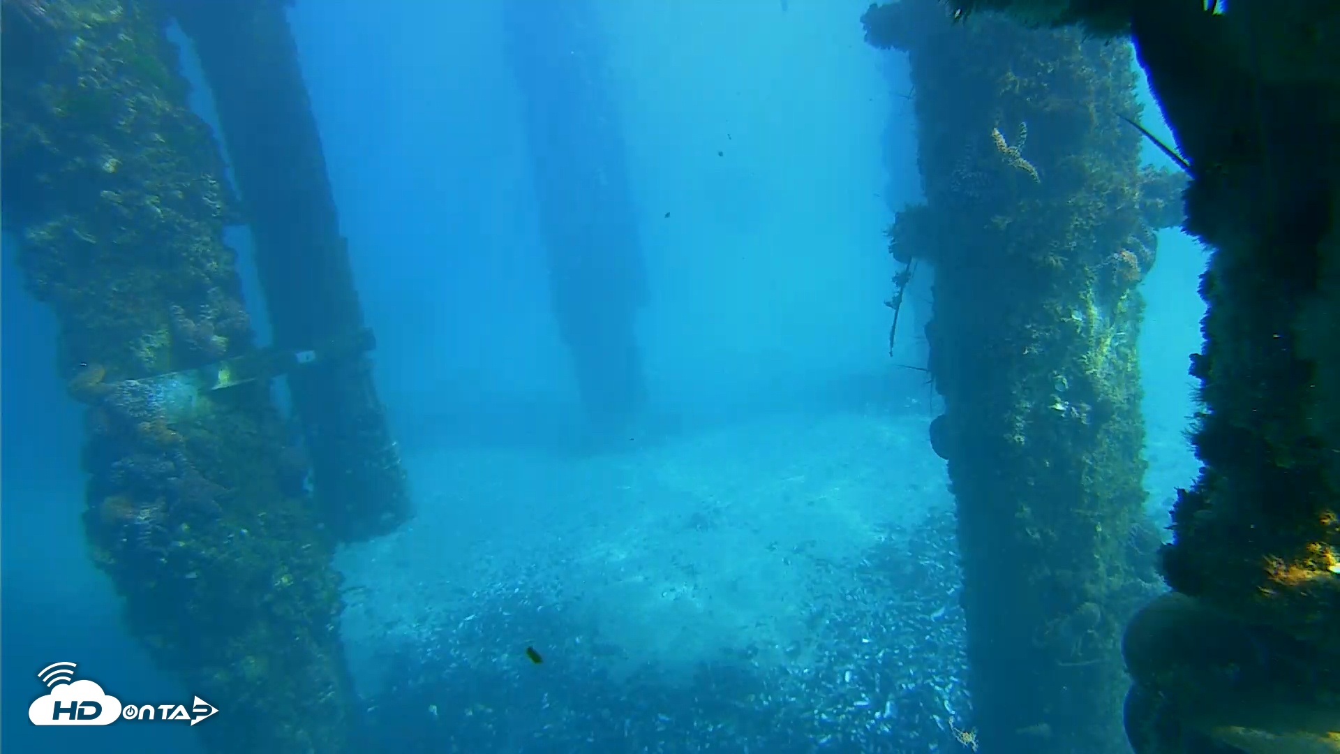 Snapshot of Scripps Pier Underwater Live Webcam taken Jan 18, 2026, 1:34pm PST