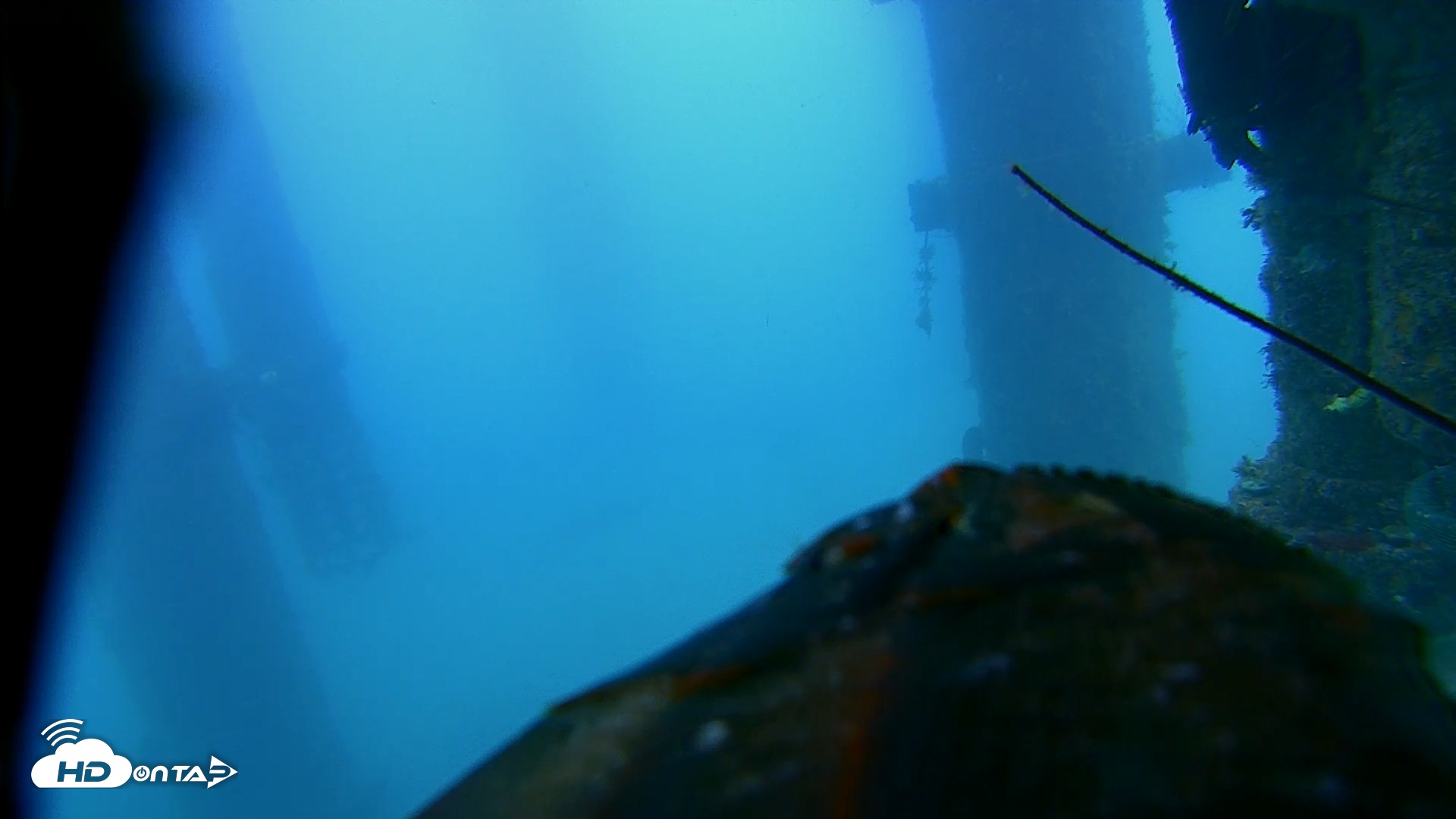 Snapshot of Scripps Pier Underwater Live Webcam taken Aug 5, 2026, 8:33am PDT