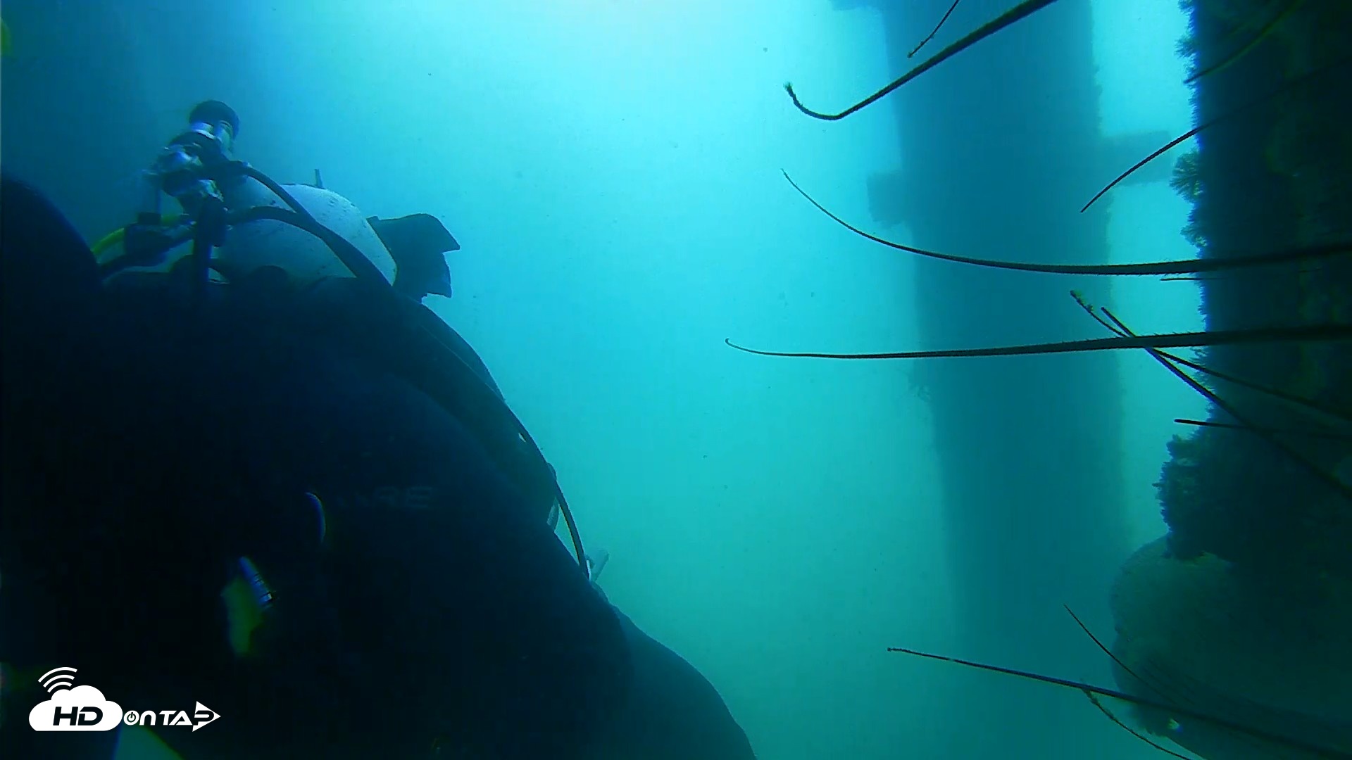 Snapshot of Scripps Pier Underwater Live Webcam taken Aug 18, 2026, 10:46am PDT