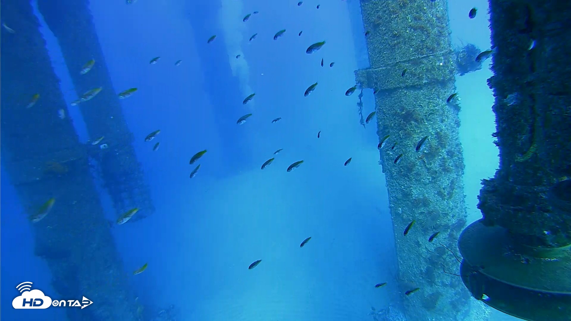 Snapshot of Scripps Pier Underwater Live Webcam taken Jul 29, 2026, 5:28pm PDT