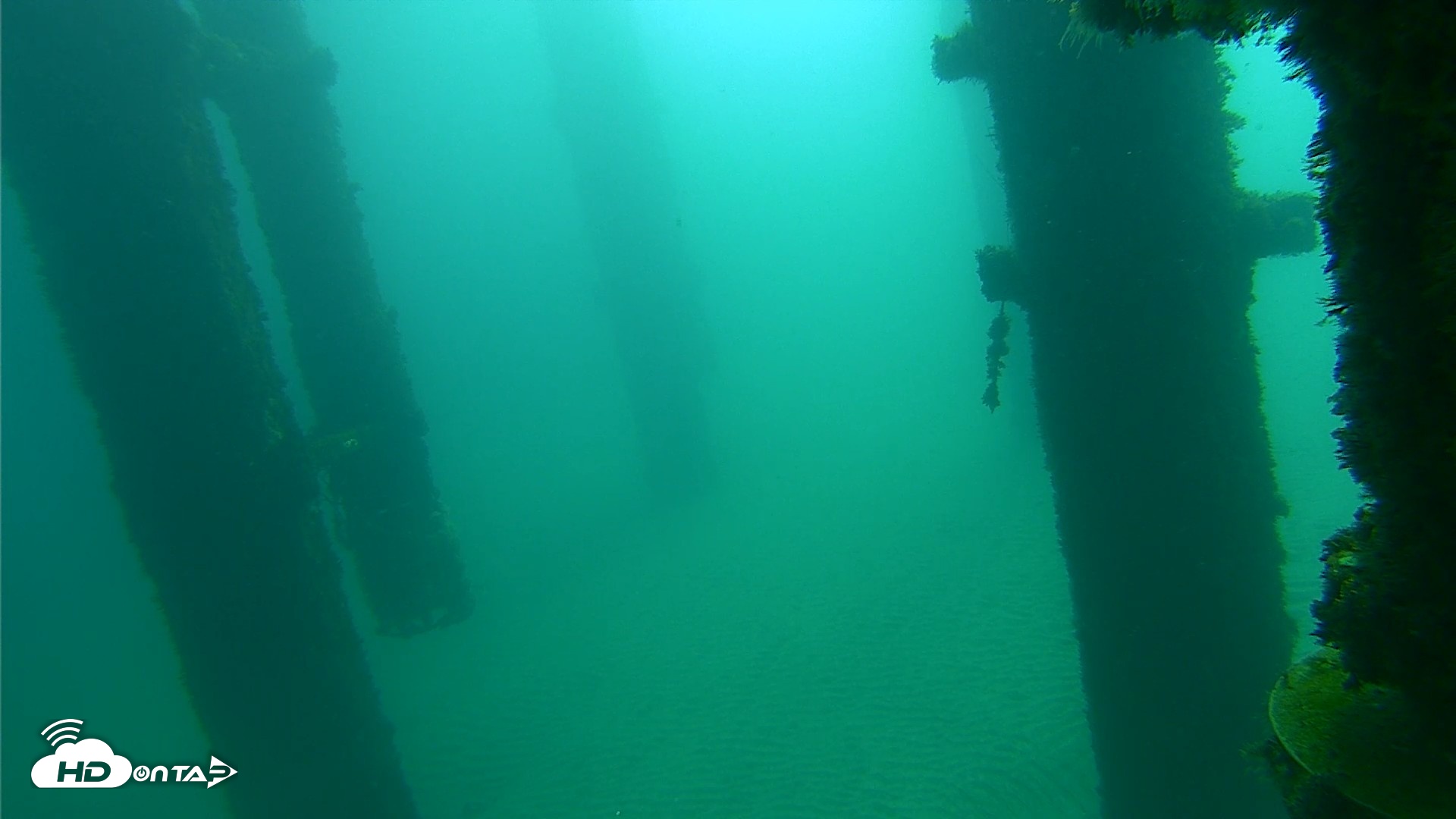 Snapshot of Scripps Pier Underwater Live Webcam taken Oct 8, 2026, 9:49am PDT