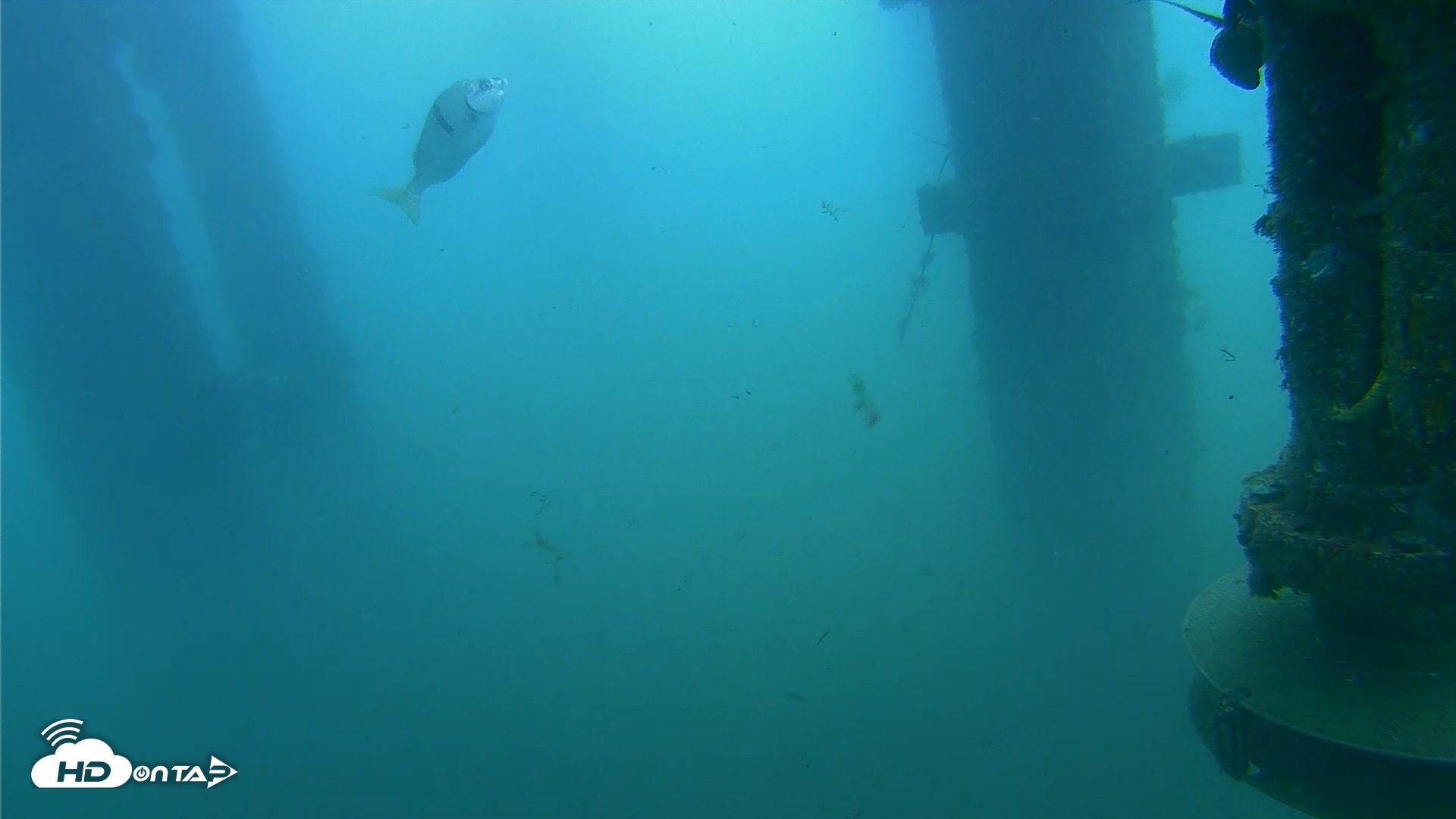 Snapshot of Scripps Pier Underwater Live Webcam taken Jul 26, 2026, 9:33am PDT