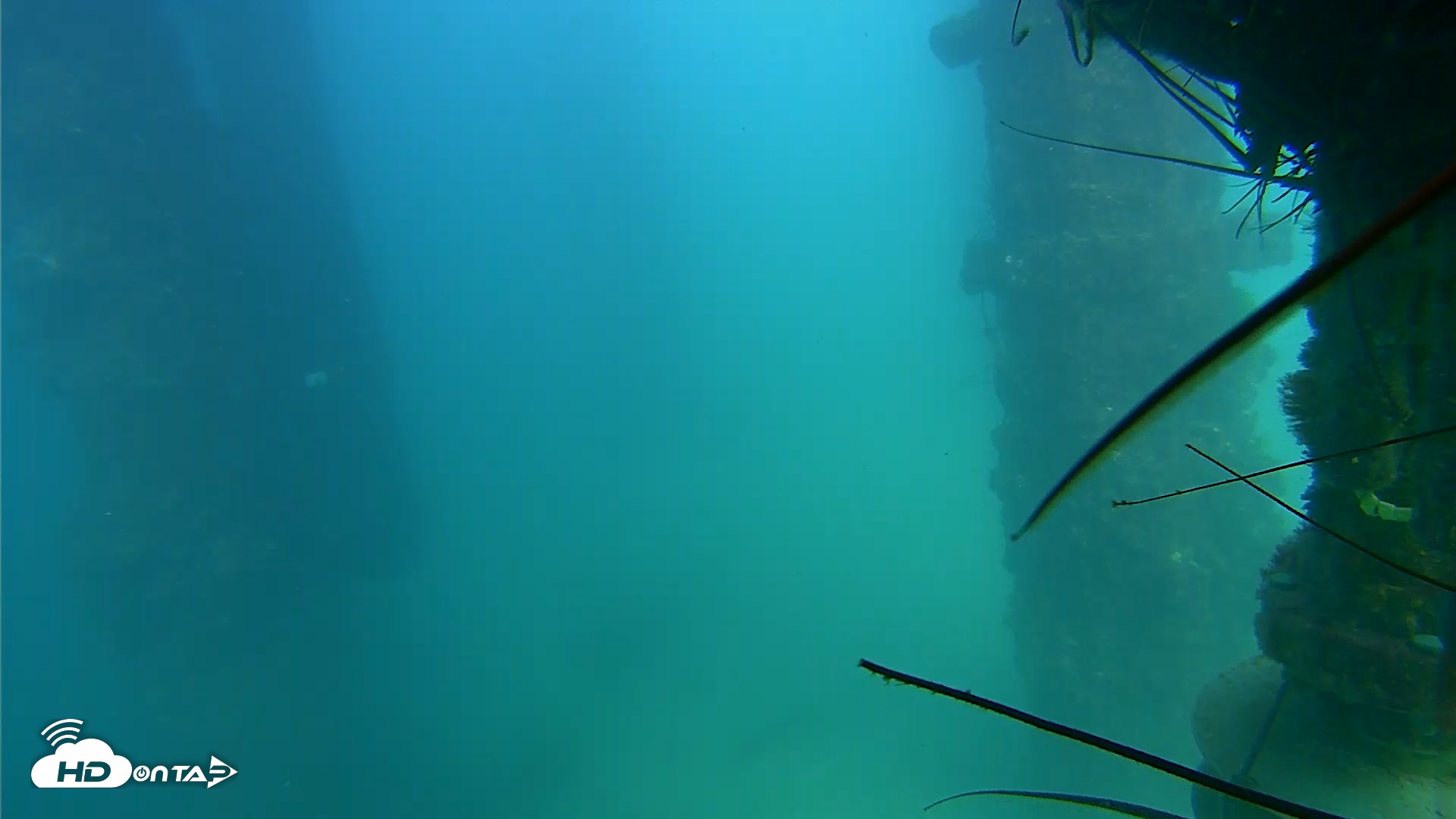 Snapshot of Scripps Pier Underwater Live Webcam taken Sep 9, 2025, 3:49pm PDT