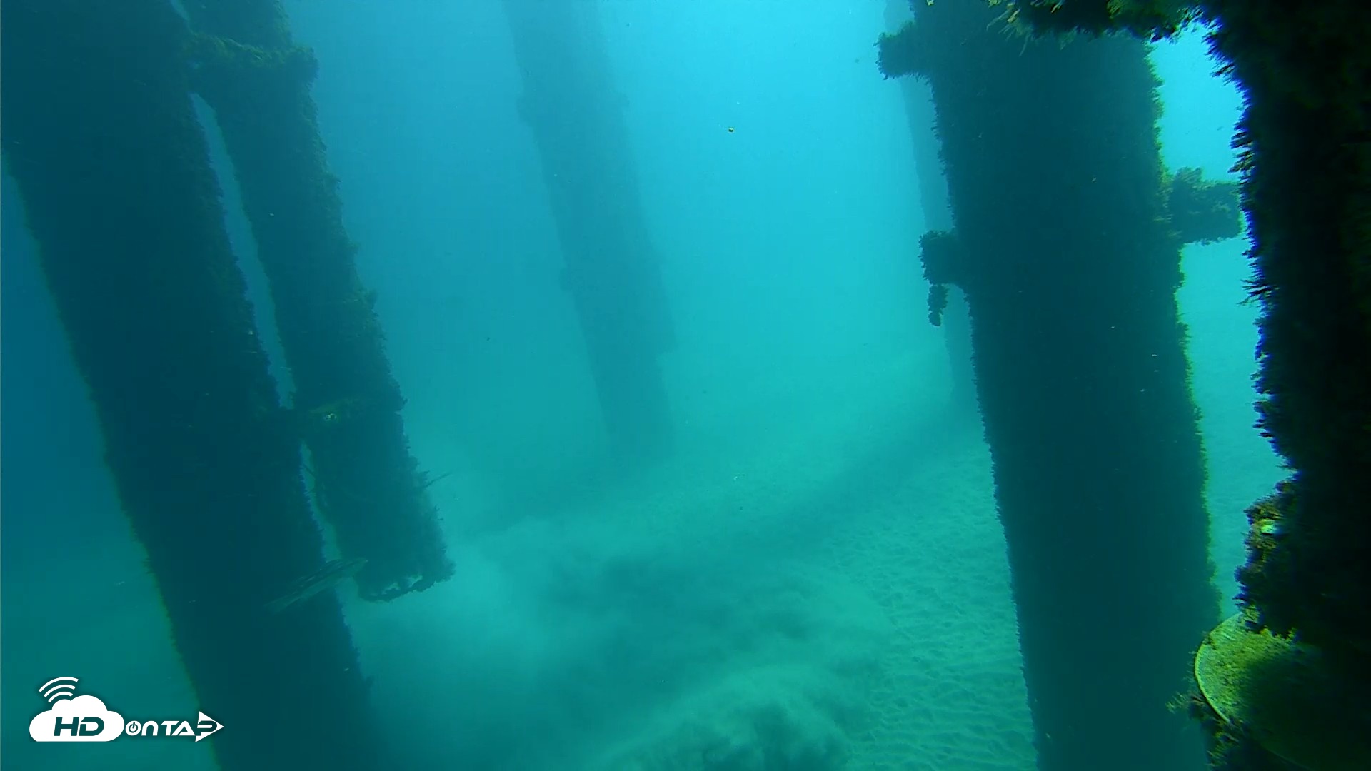 Snapshot of Scripps Pier Underwater Live Webcam taken Oct 7, 2026, 10:37am PDT