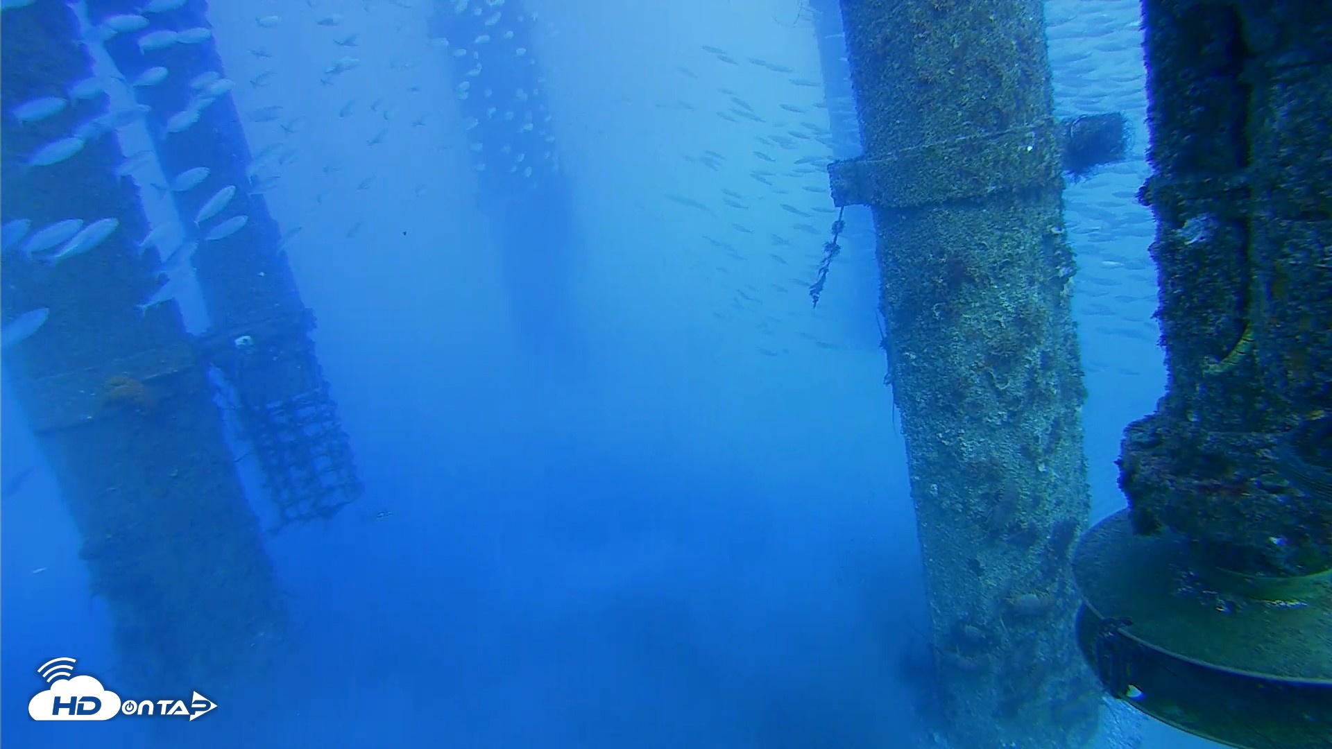 Snapshot of Scripps Pier Underwater Live Webcam taken Jul 29, 2026, 5:45pm PDT