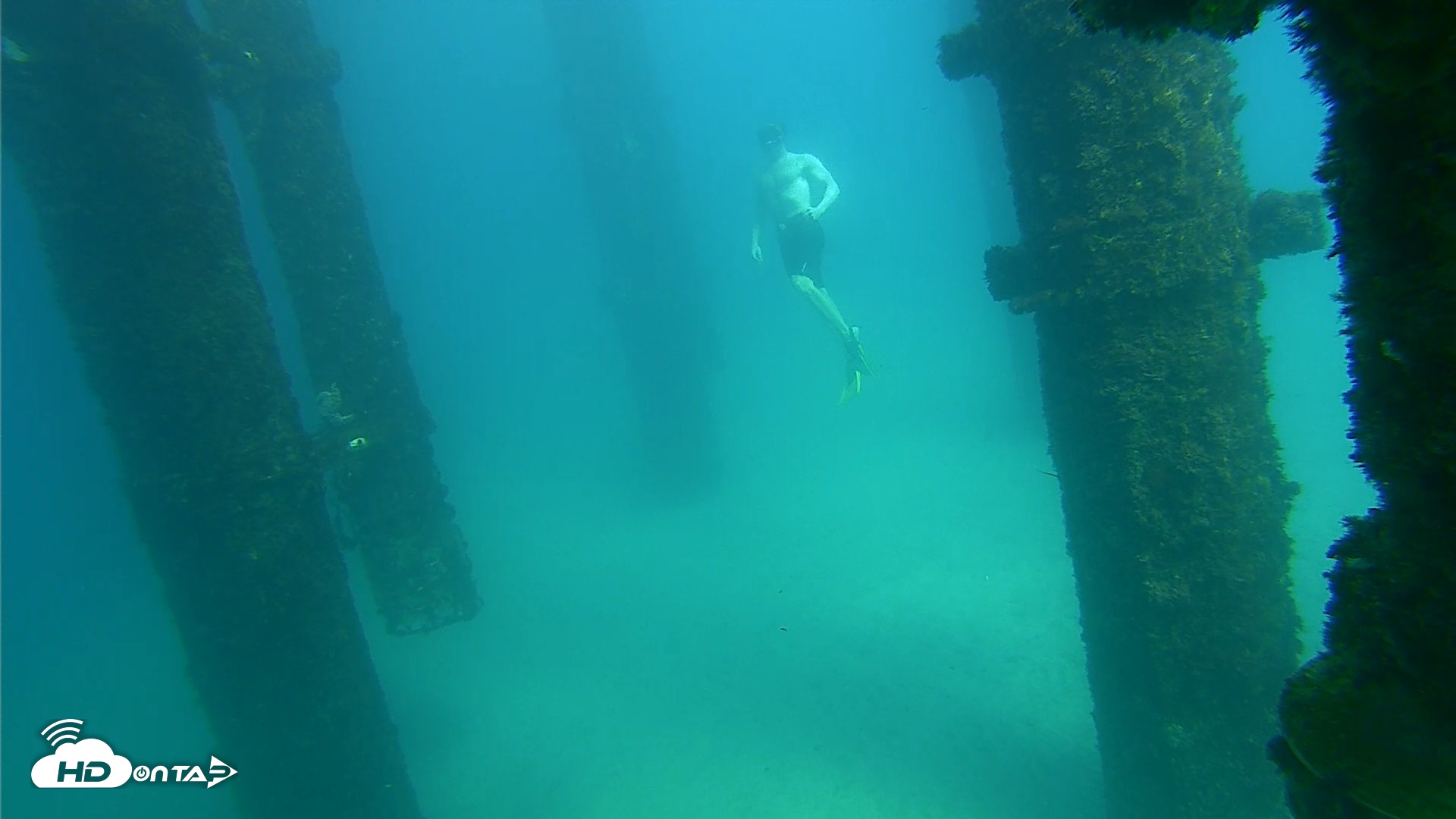 Snapshot of Scripps Pier Underwater Live Webcam taken Sep 24, 2026, 2:57pm PDT