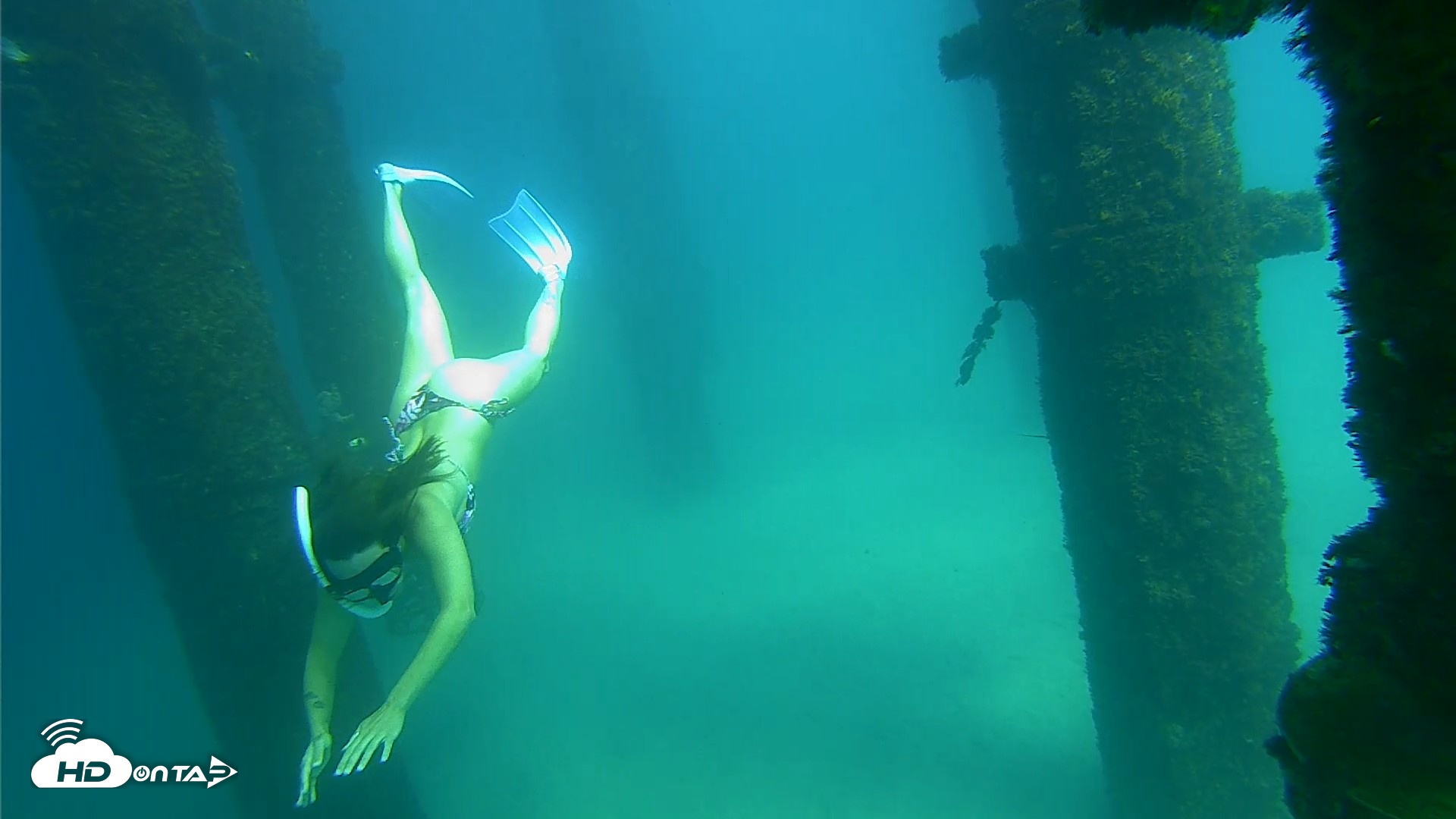 Snapshot of Scripps Pier Underwater Live Webcam taken Sep 24, 2026, 2:39pm PDT