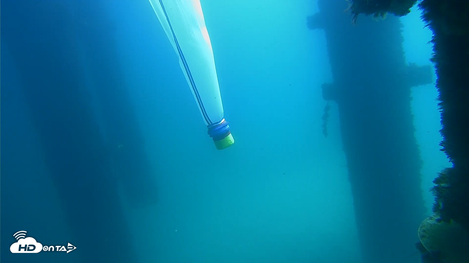 Snapshot of Scripps Pier Underwater Live Webcam taken Sep 17, 2026, 12:11pm PDT