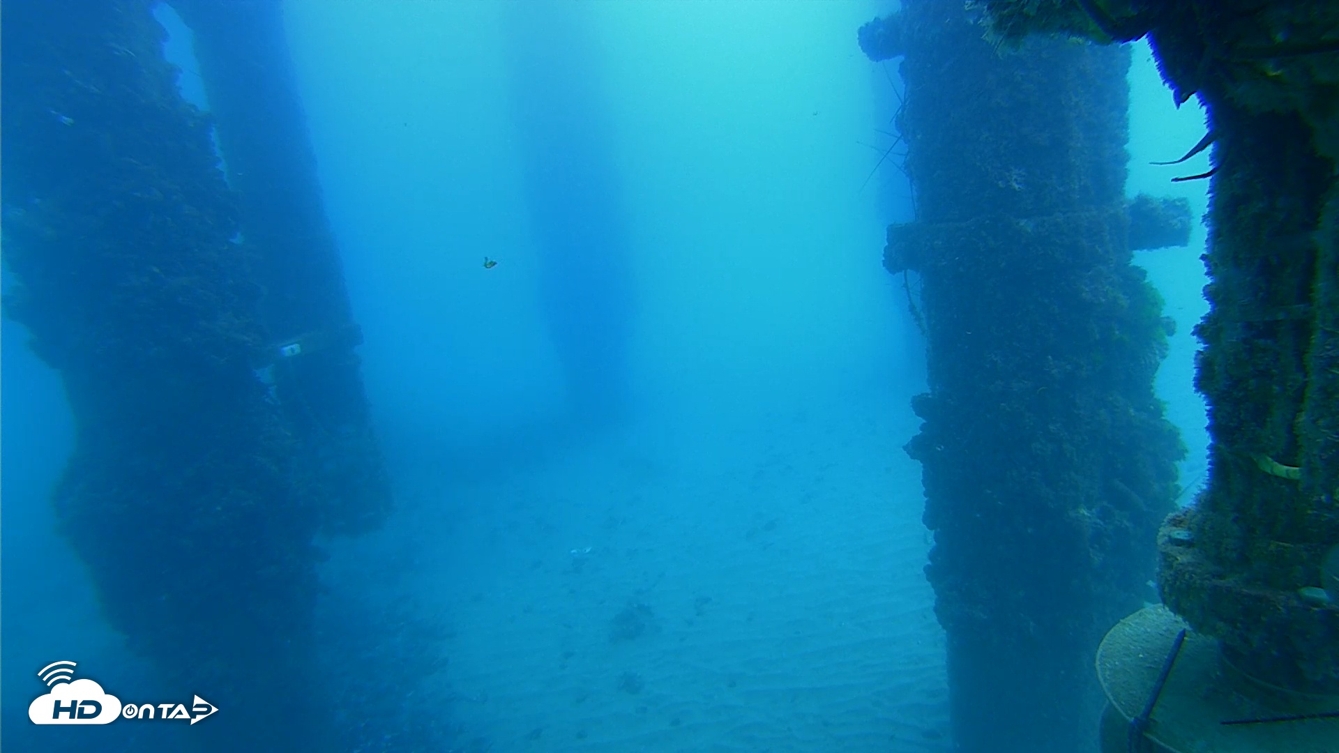 Snapshot of Scripps Pier Underwater Live Webcam taken Aug 28, 2025, 11:11am PDT
