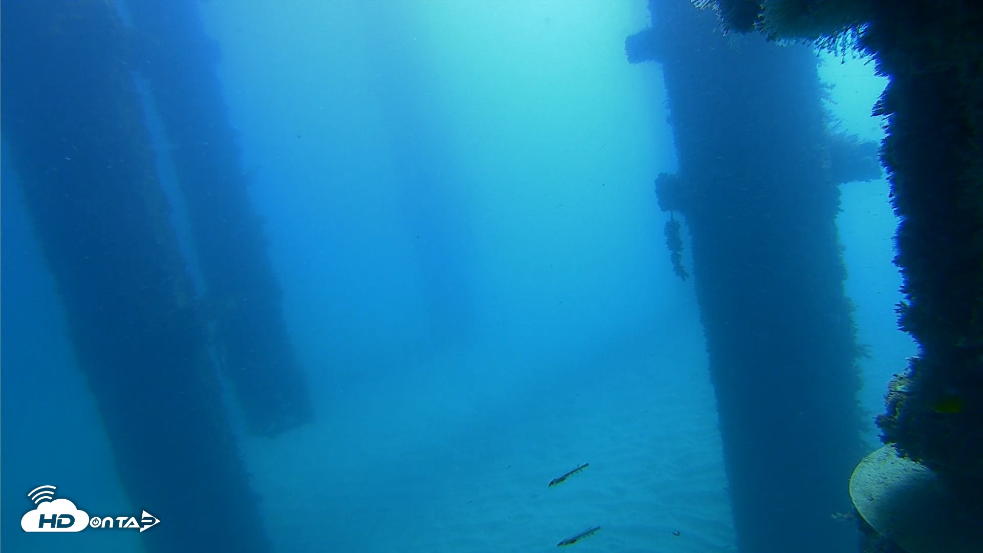 Snapshot of Scripps Pier Underwater Live Webcam taken Oct 21, 2026, 10:39am PDT