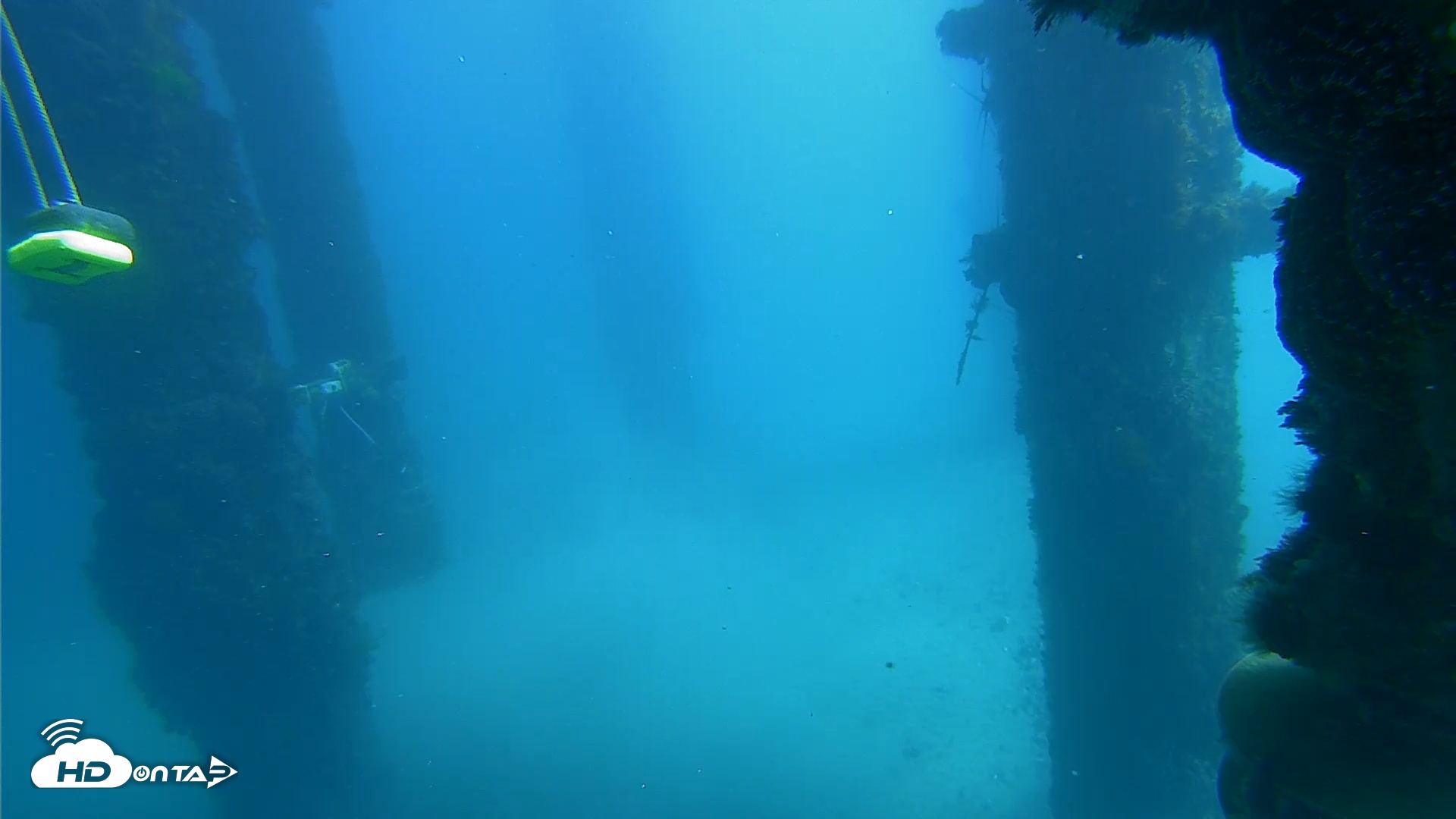 Snapshot of Scripps Pier Underwater Live Webcam taken Feb 8, 2026, 11:53am PST
