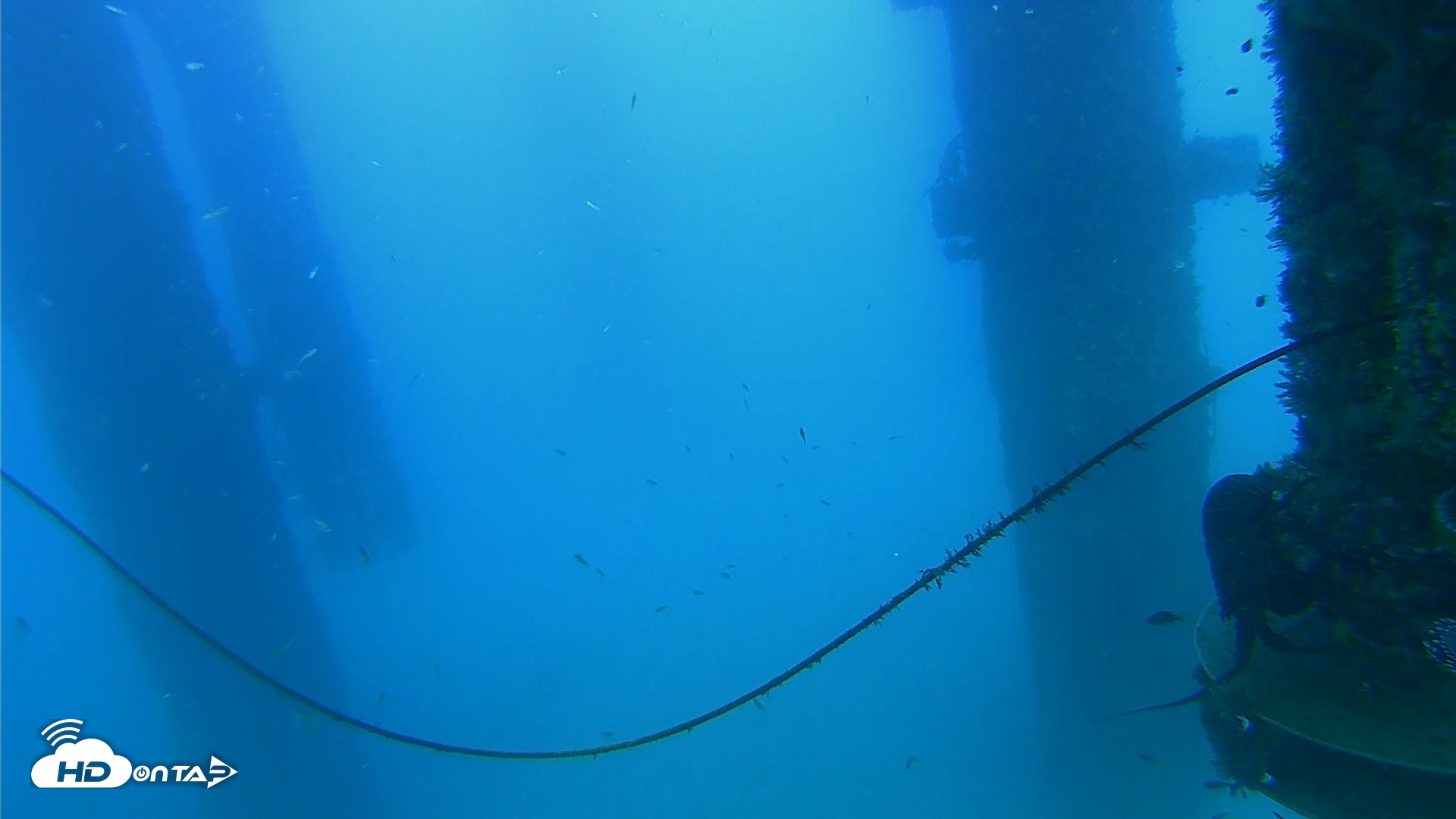 Snapshot of Scripps Pier Underwater Live Webcam taken Aug 28, 2026, 6:51pm PDT