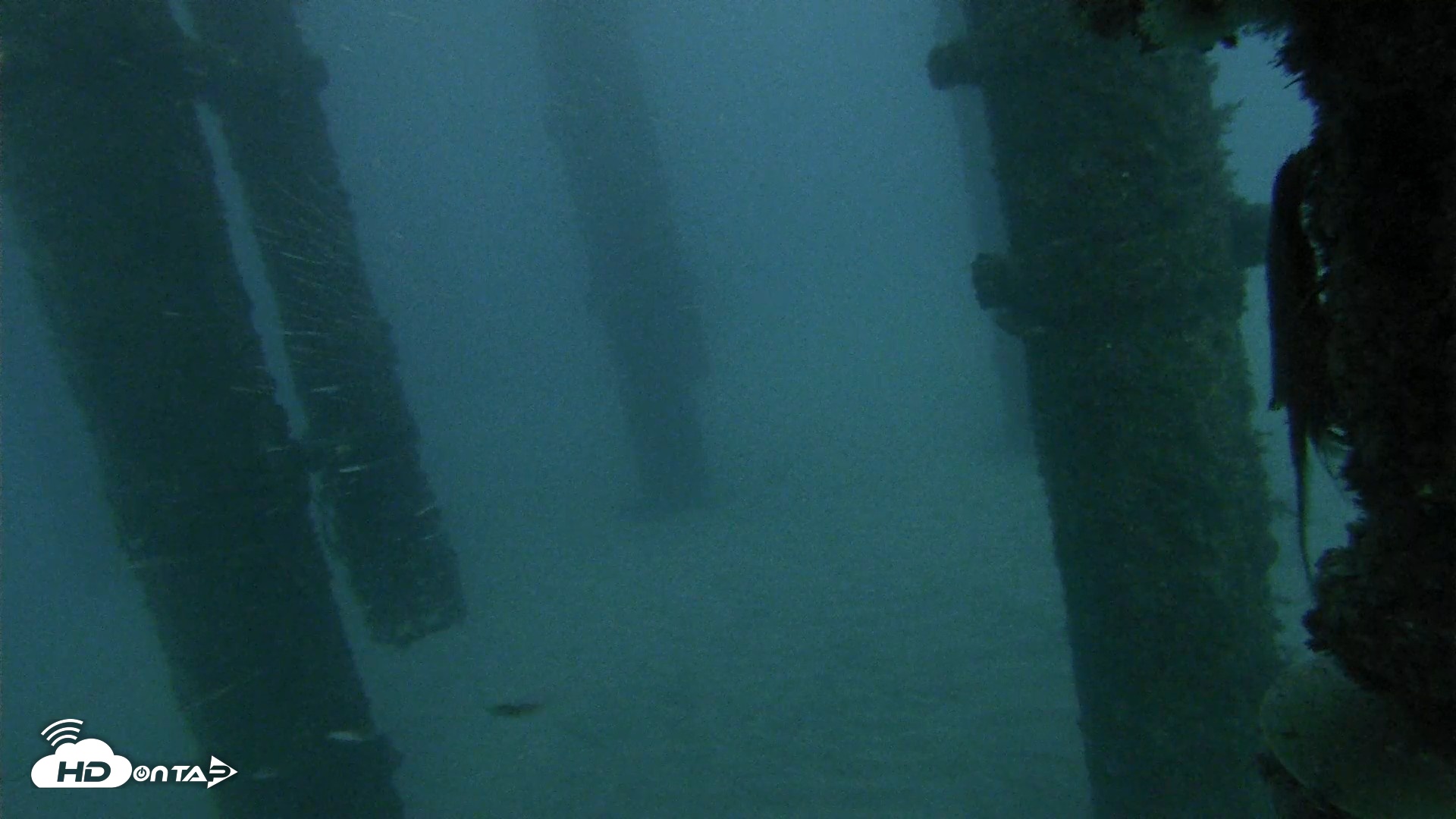 Snapshot of Scripps Pier Underwater Live Webcam taken Oct 17, 2026, 6:29pm PDT